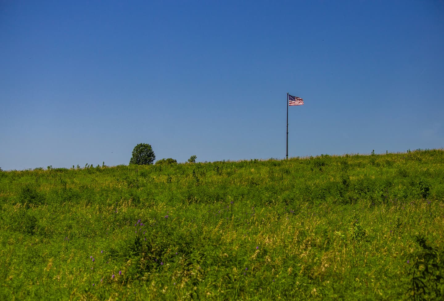 Ashland, United States