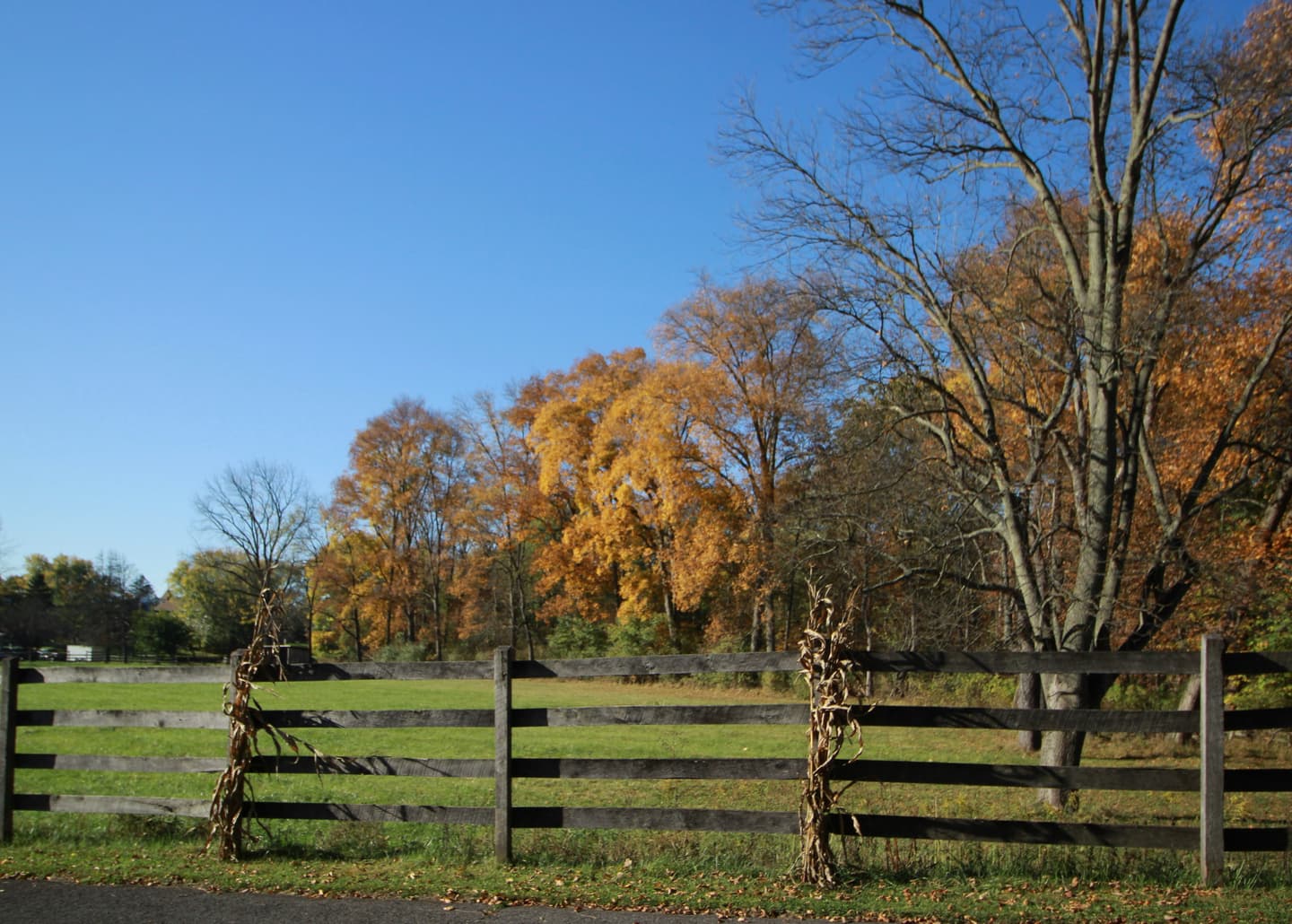 Bedford, United States