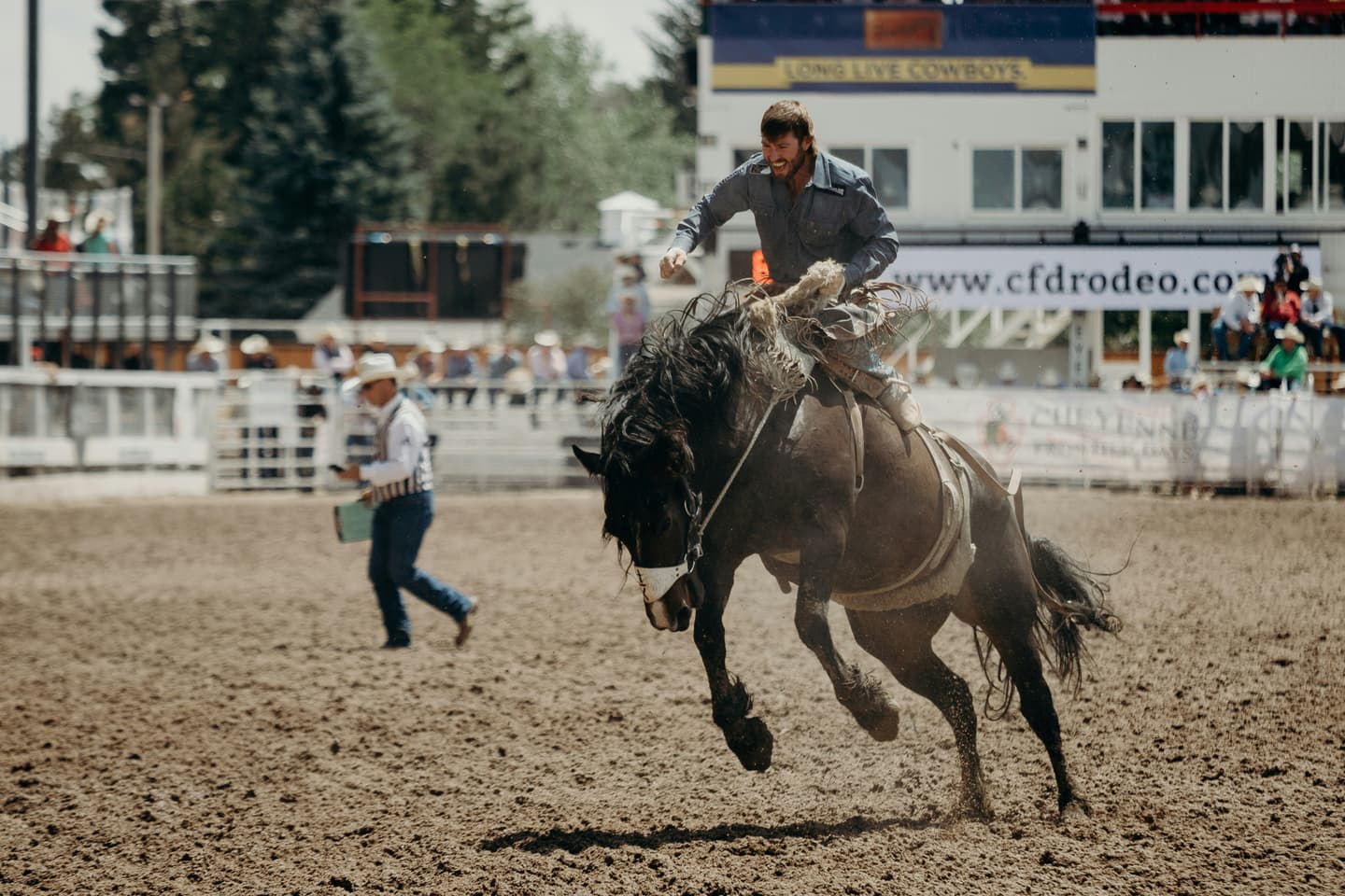 Cheyenne