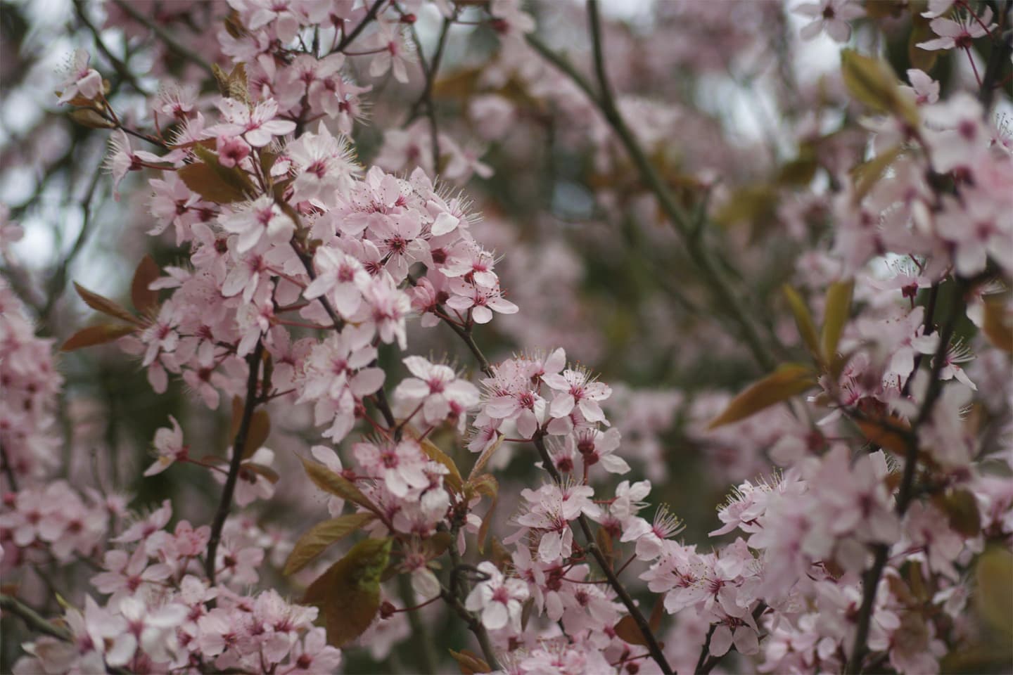 Coventry, United Kingdom