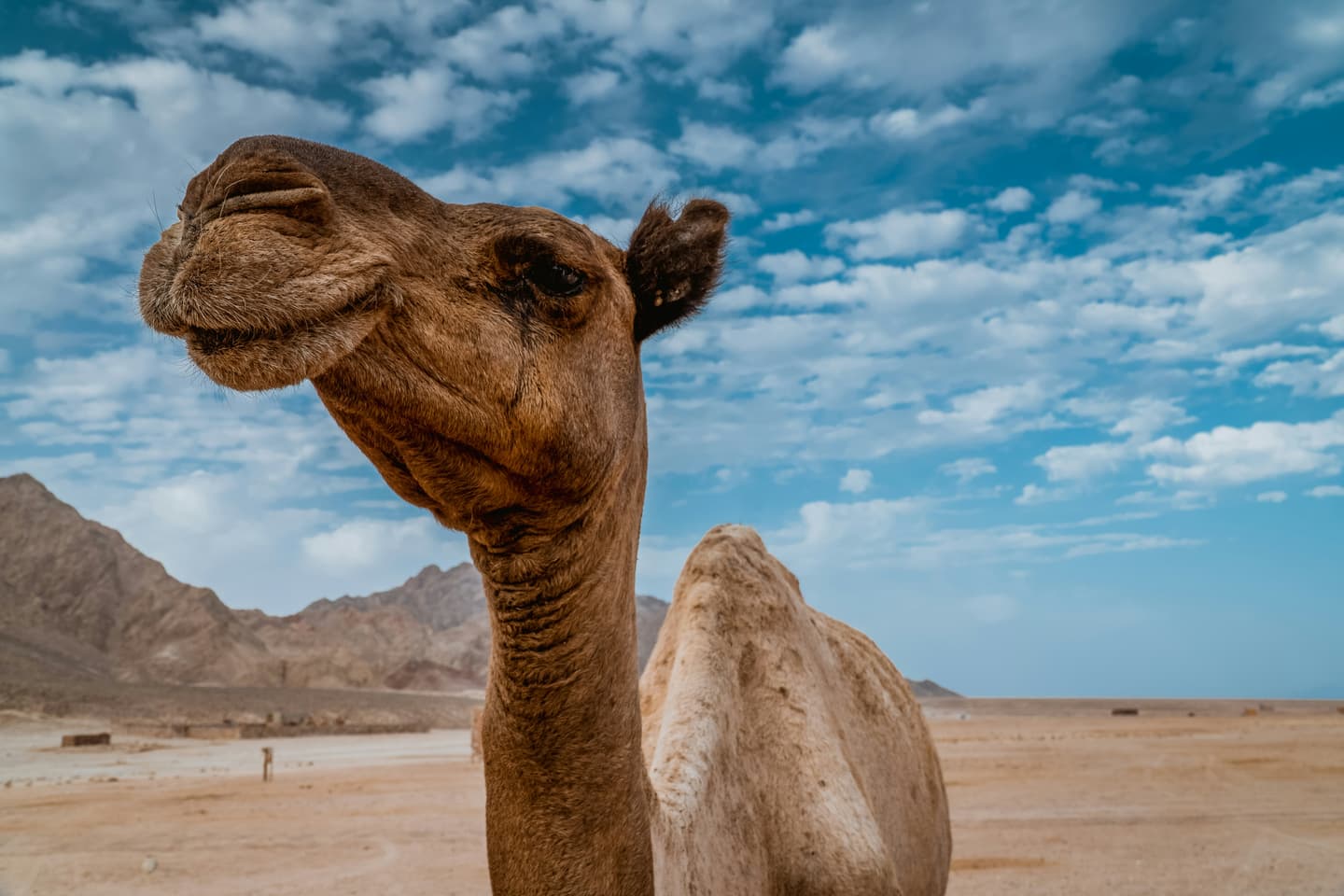 Dahab, Egypt