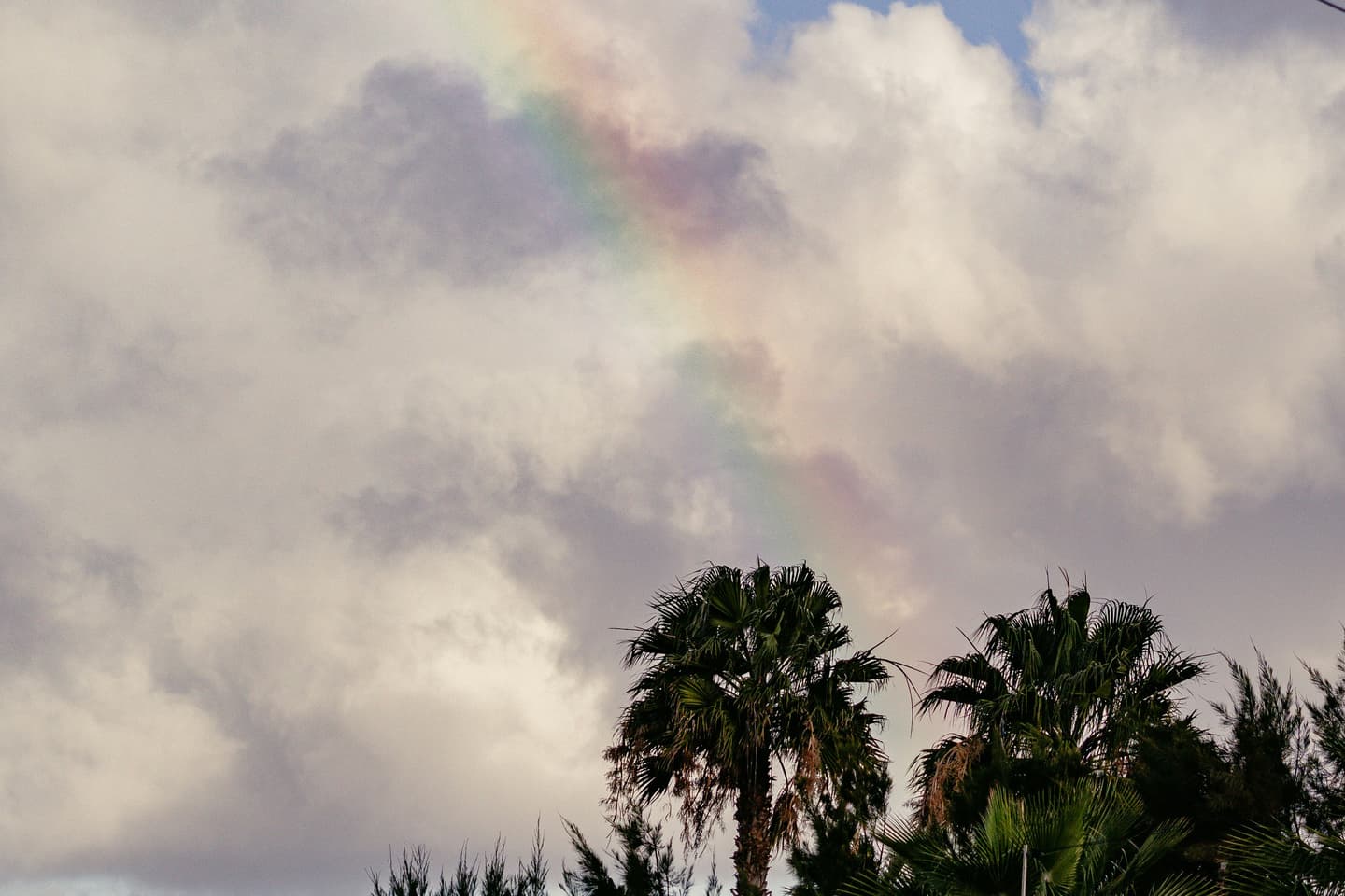 Fuerteventura, Spain