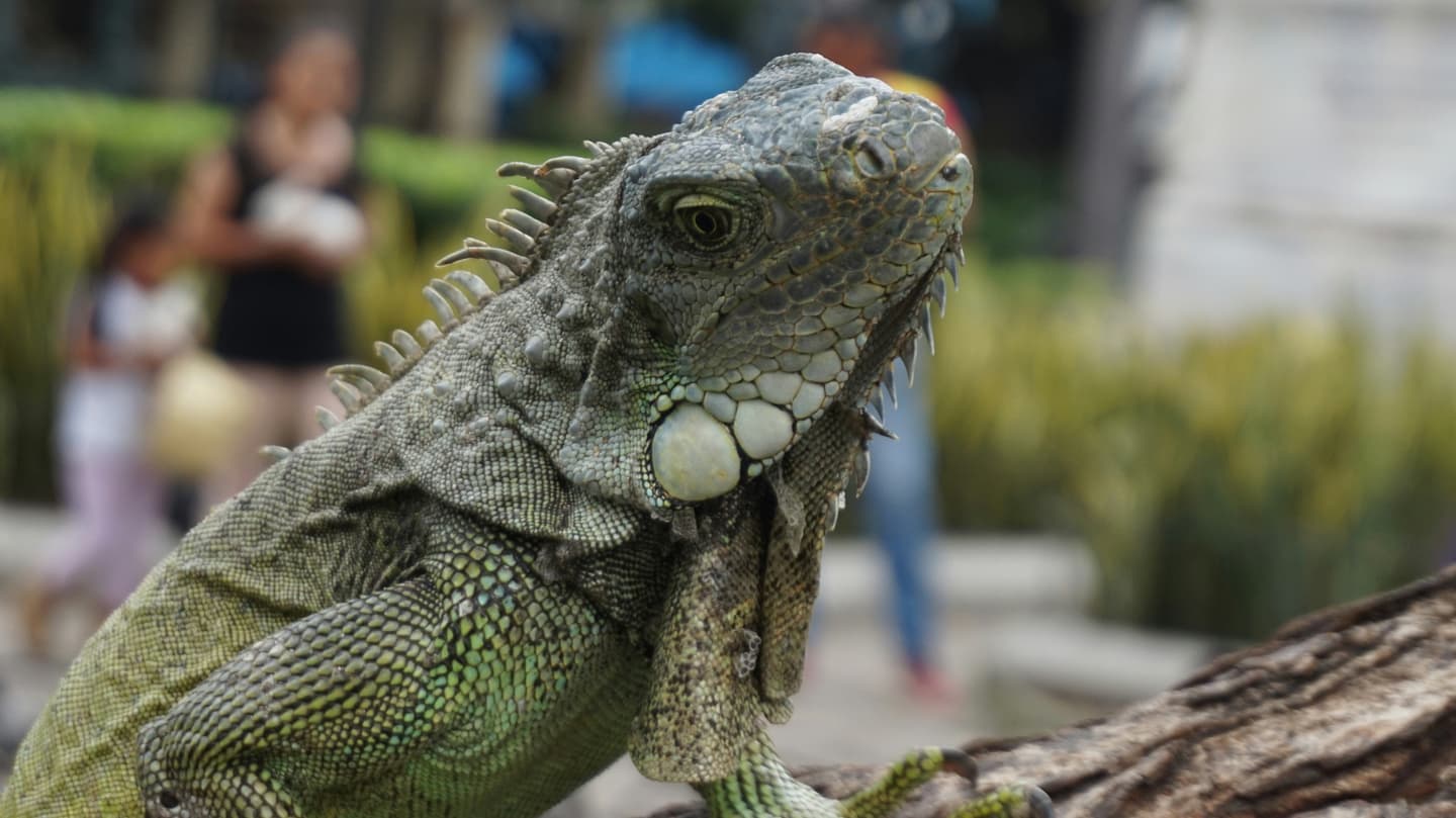 Guayaquil, Ecuador