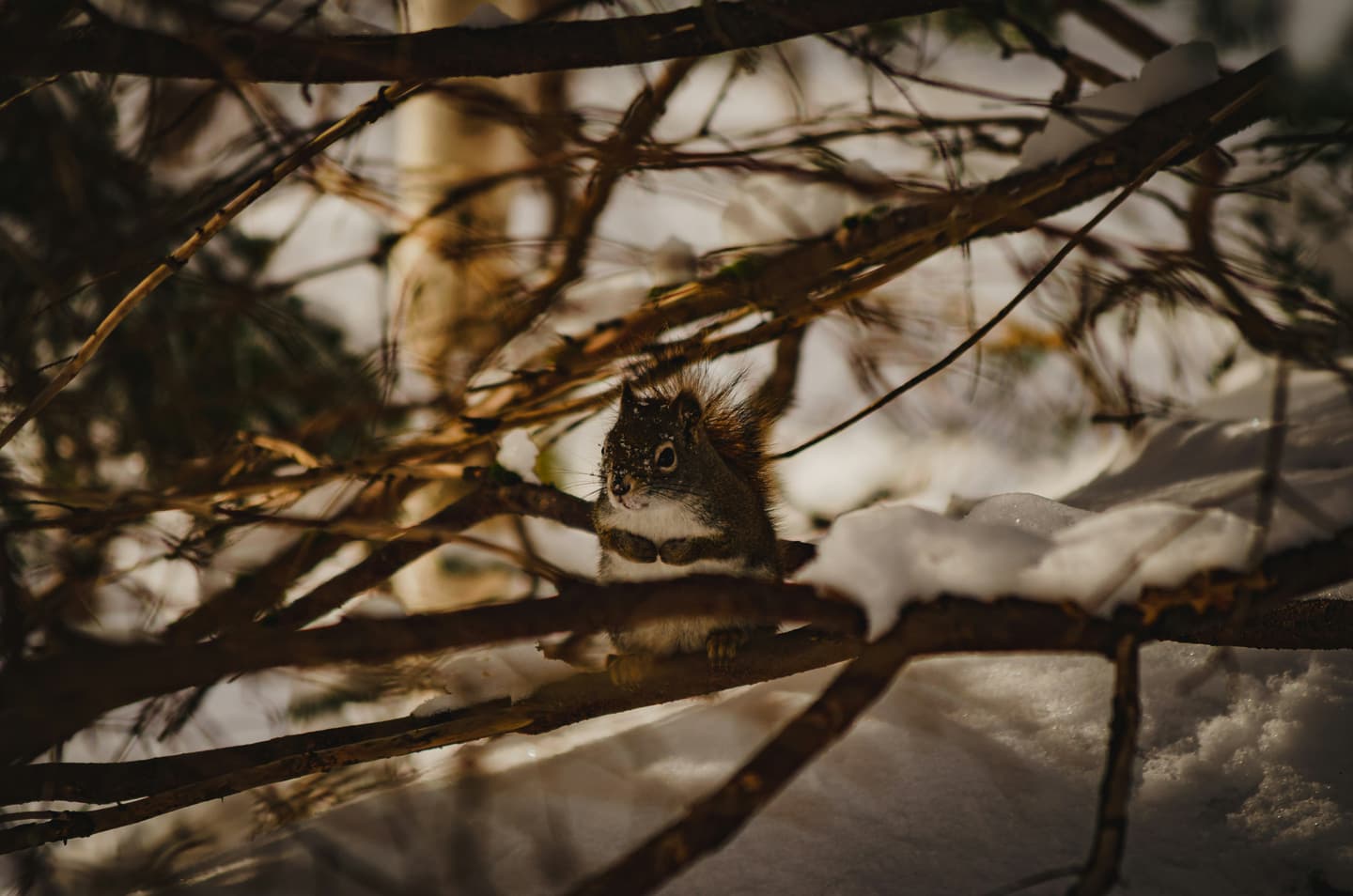 Halifax, Canada