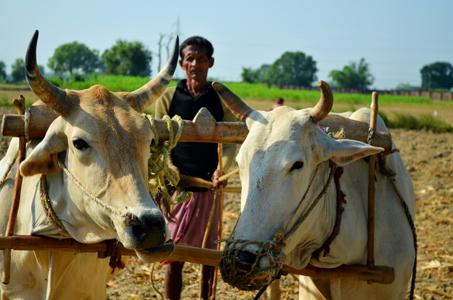 Kanpur, India