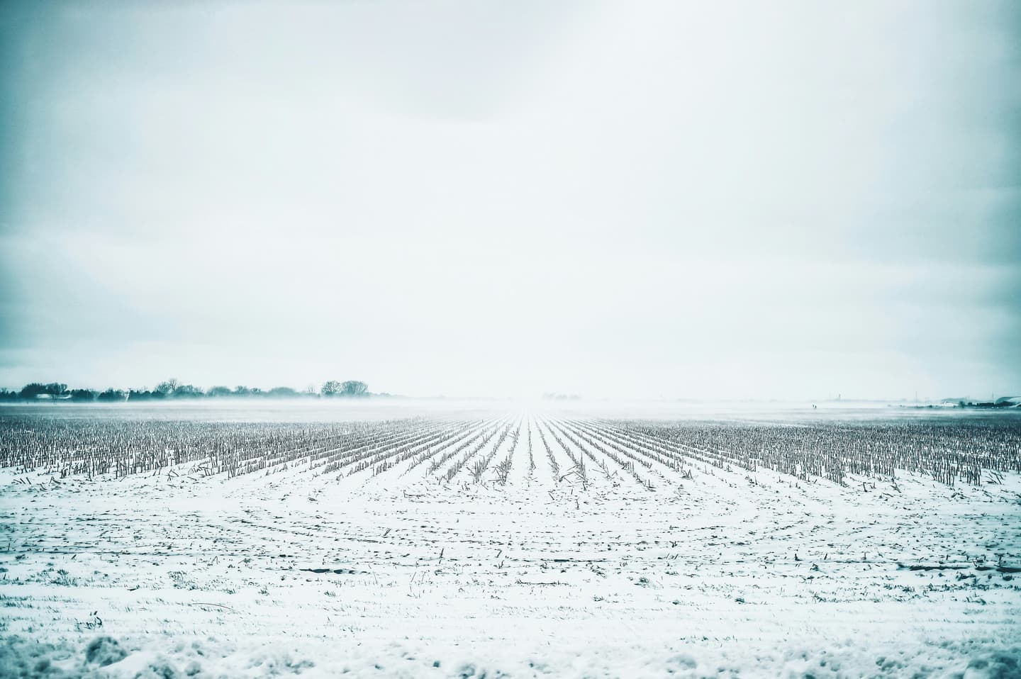 Kearney