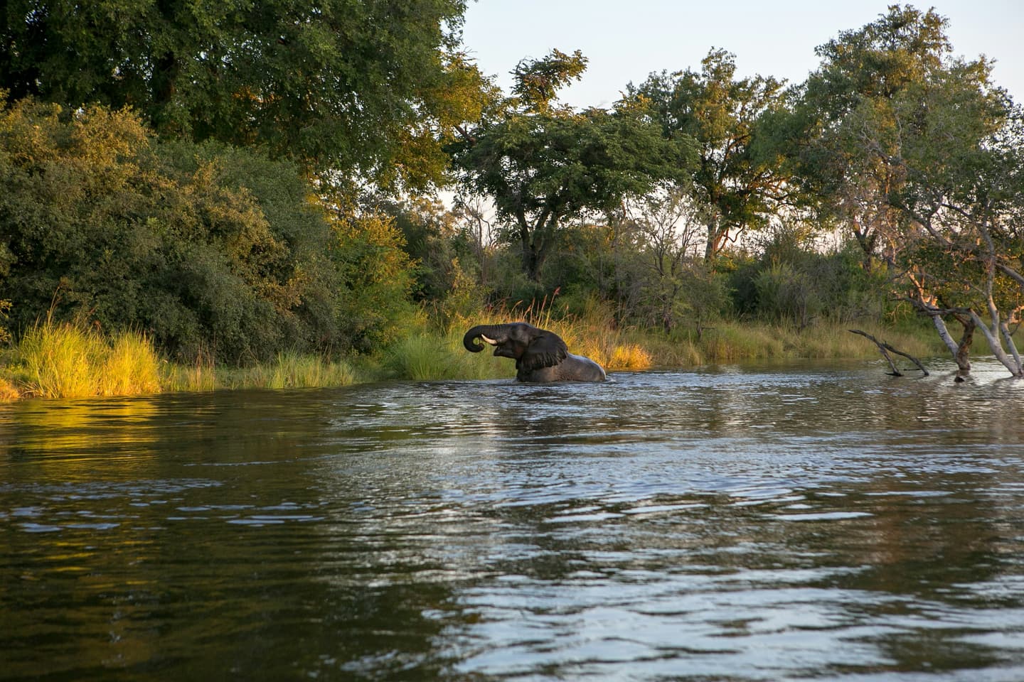 Livingstone, Zambia