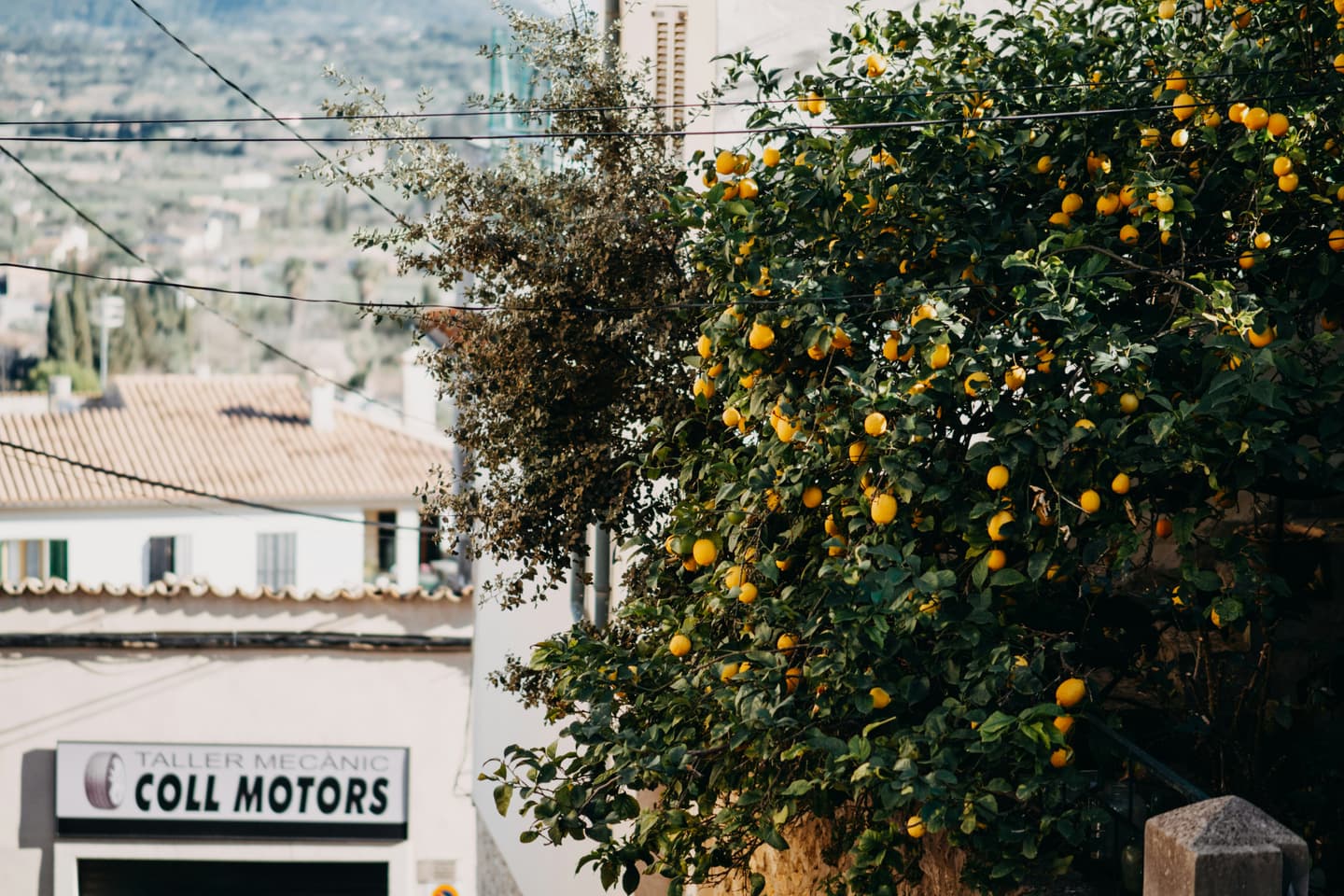 Mallorca, Spain