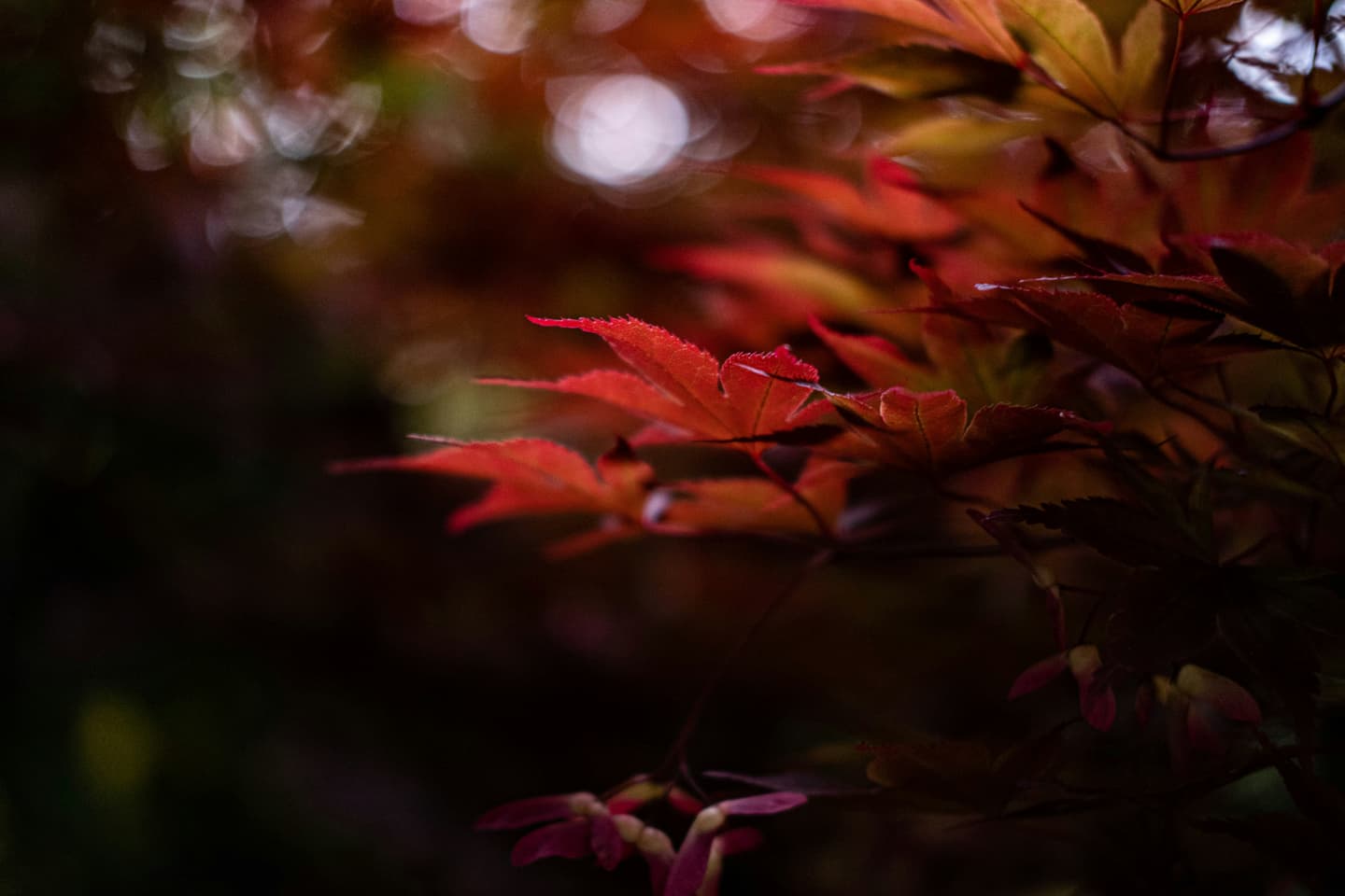 Monza, Italy