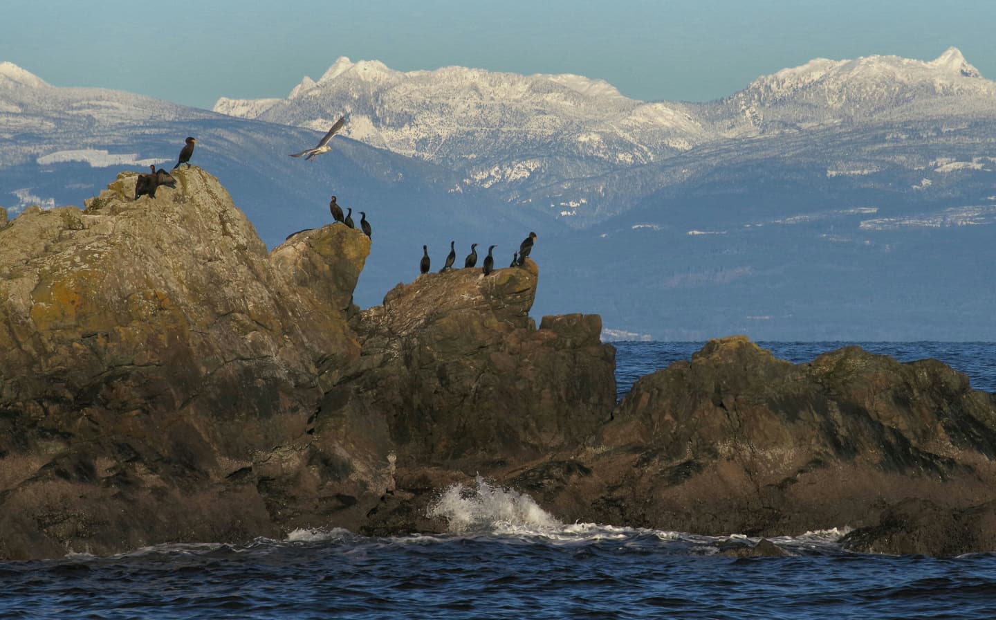 Nanaimo, Canada