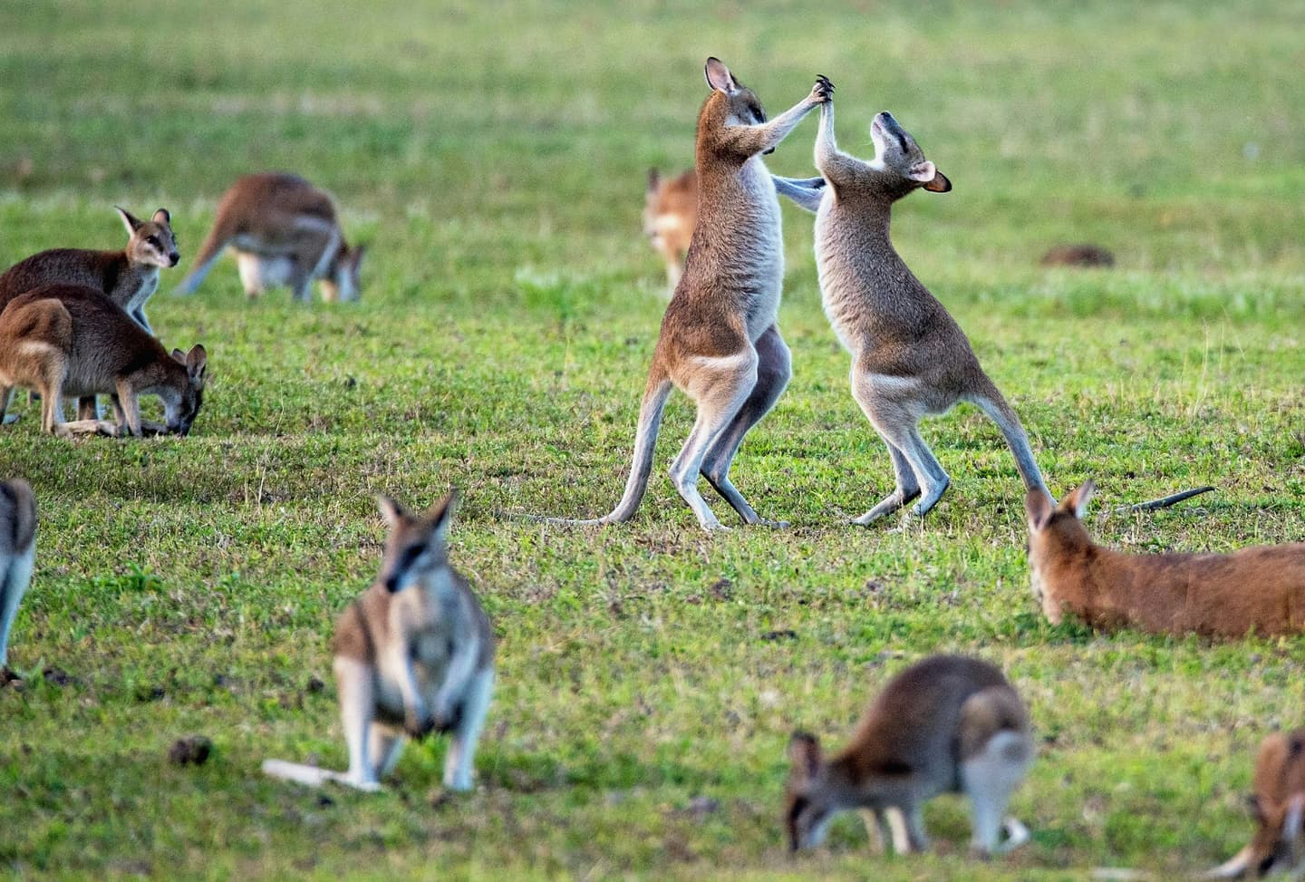 Perth, Australia