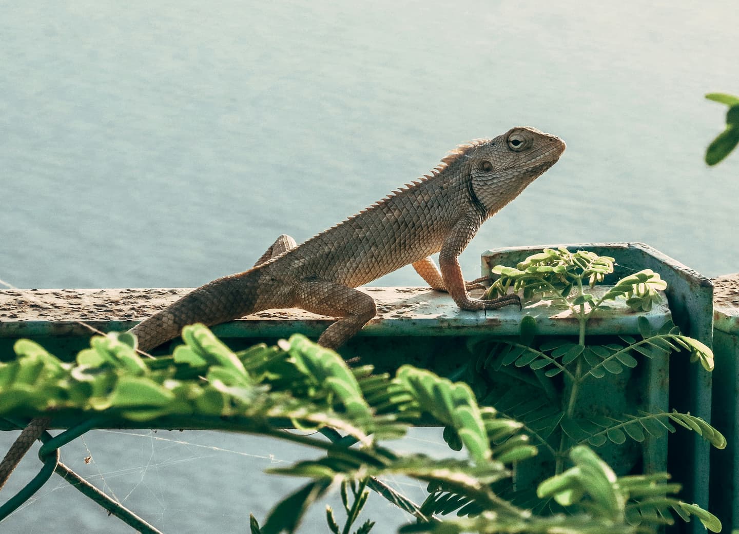 Rajkot, India