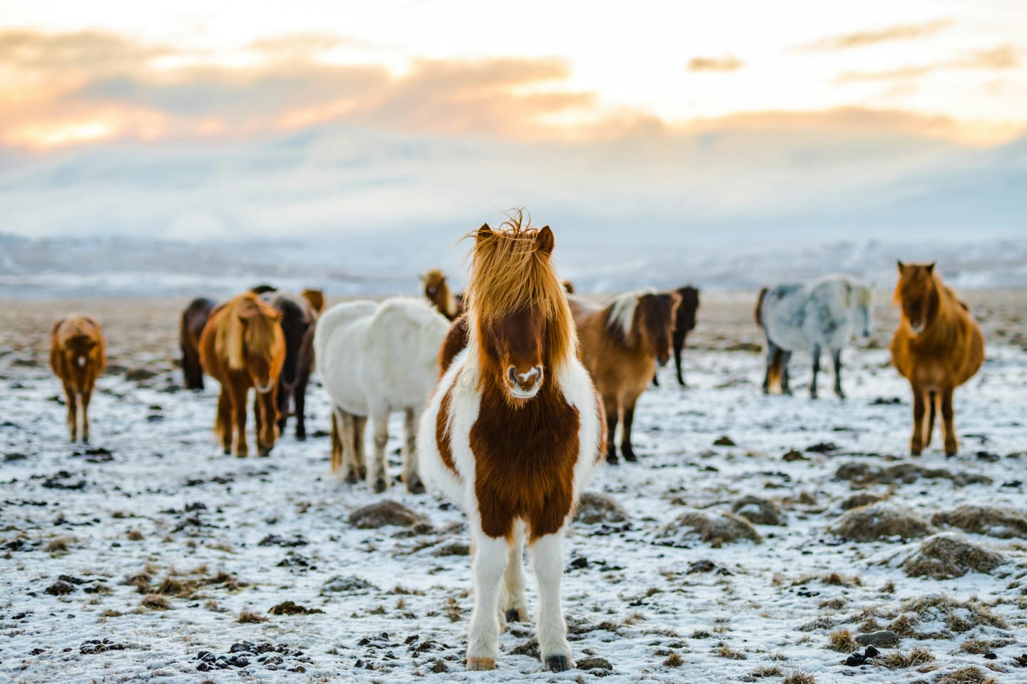 Reykjavik, Iceland