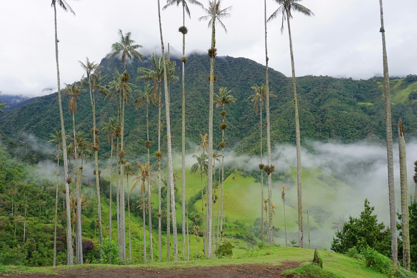 Salento, Colombia
