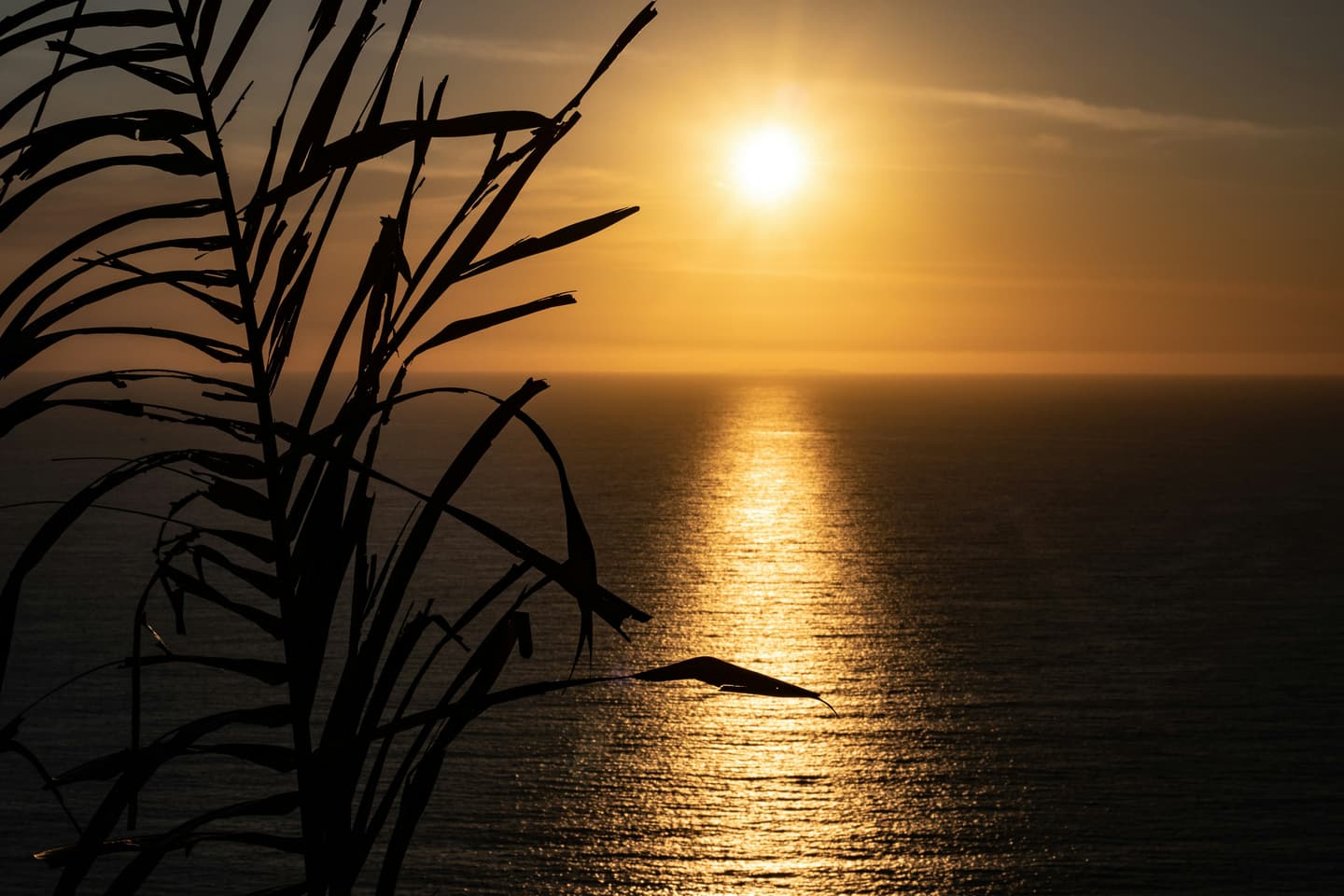 San Francisco, Mexico
