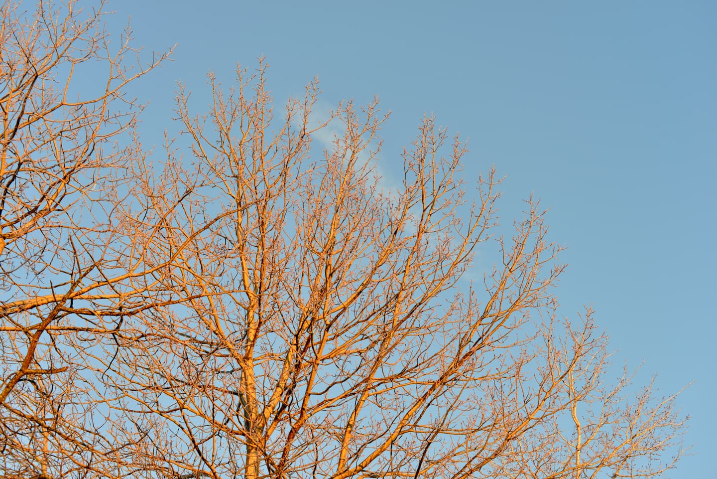 Scranton, United States