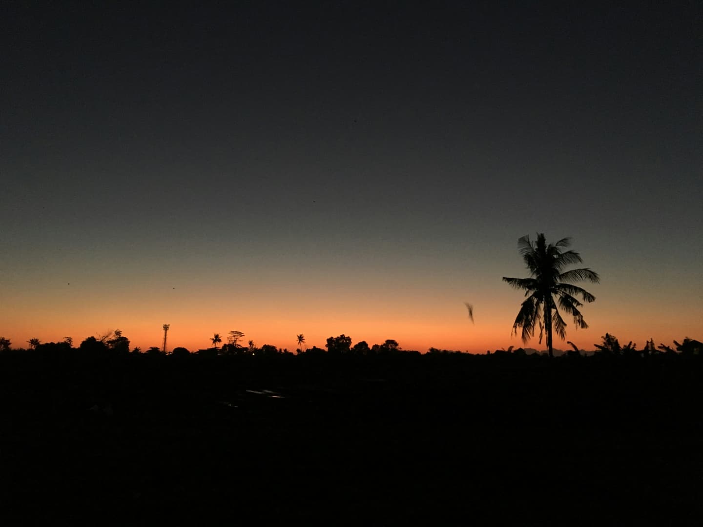 Seseh, Indonesia