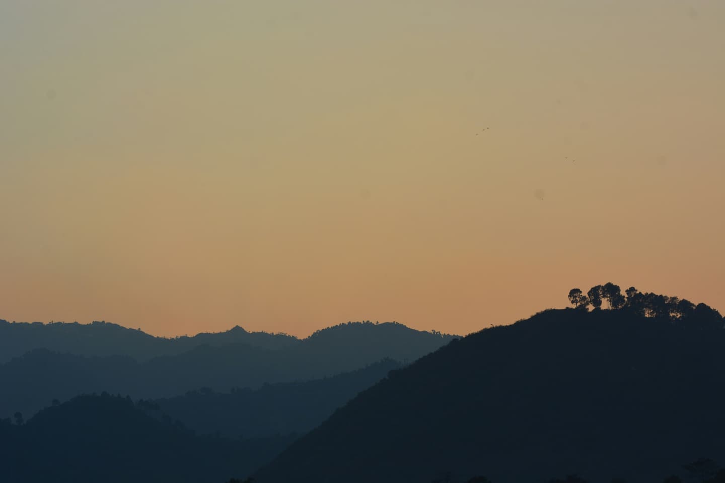 Srinagar, India