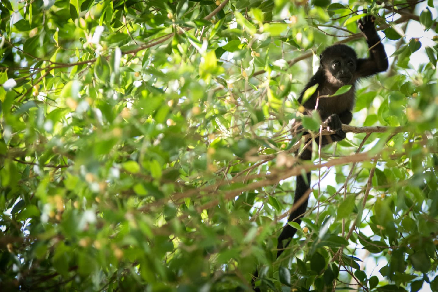 Tamarindo, Costa Rica