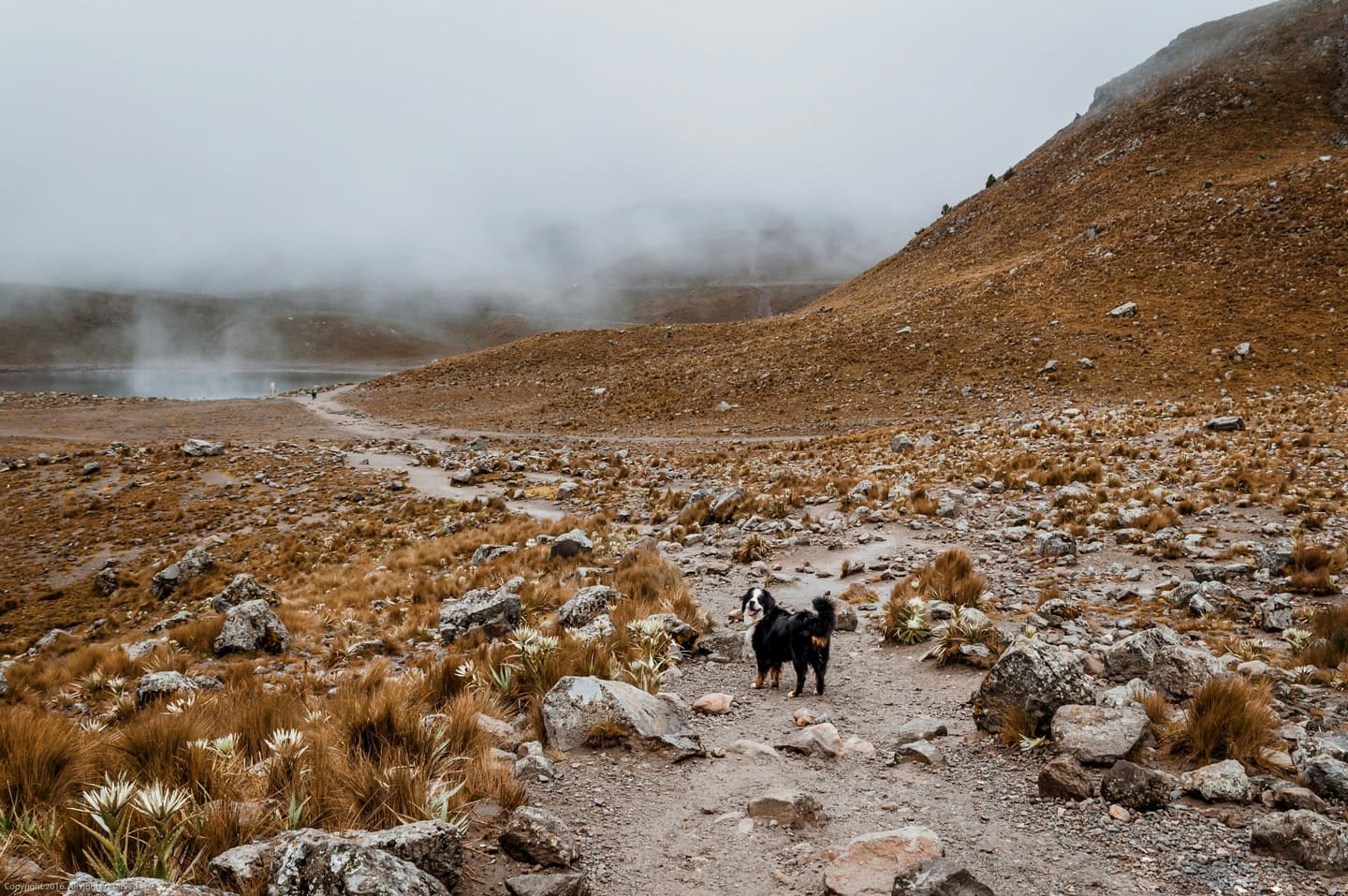 Toluca, Mexico