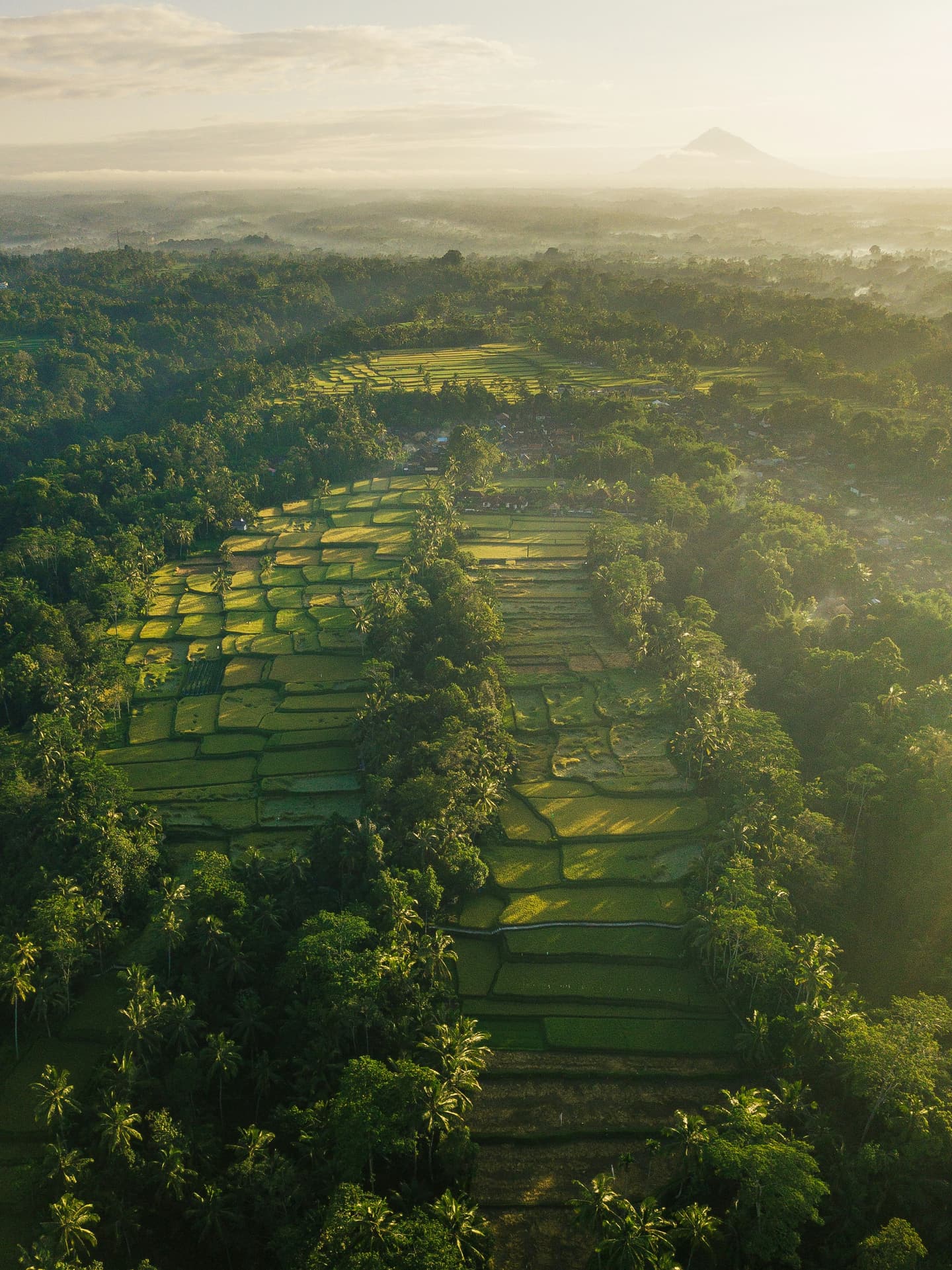 Ubud, Indonesia
