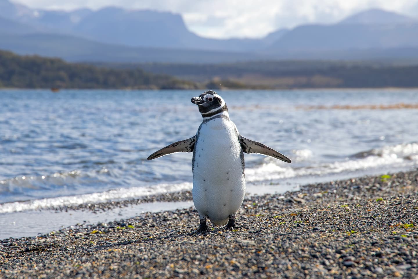 Ushuaia, Argentina