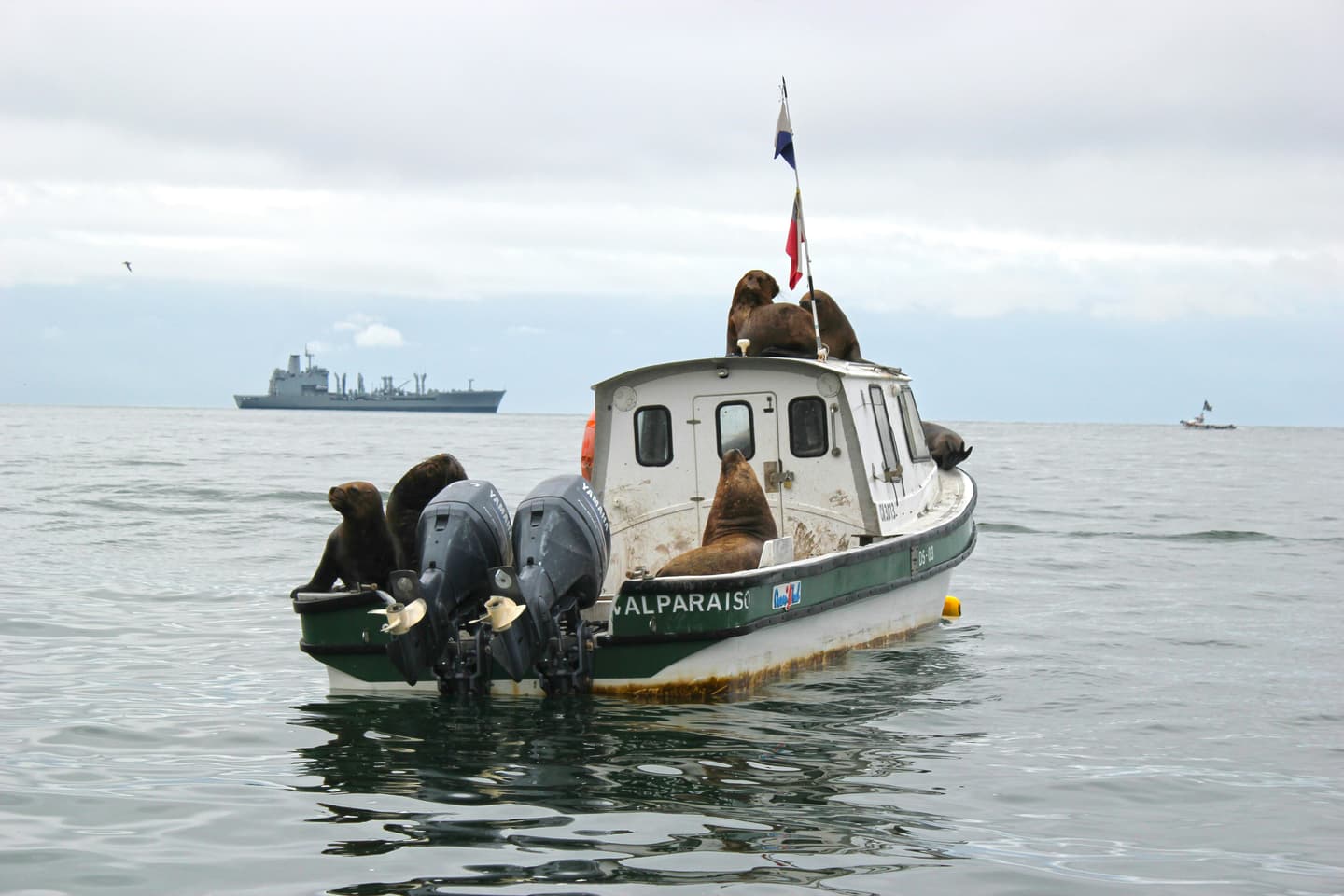 Valparaíso, Chile