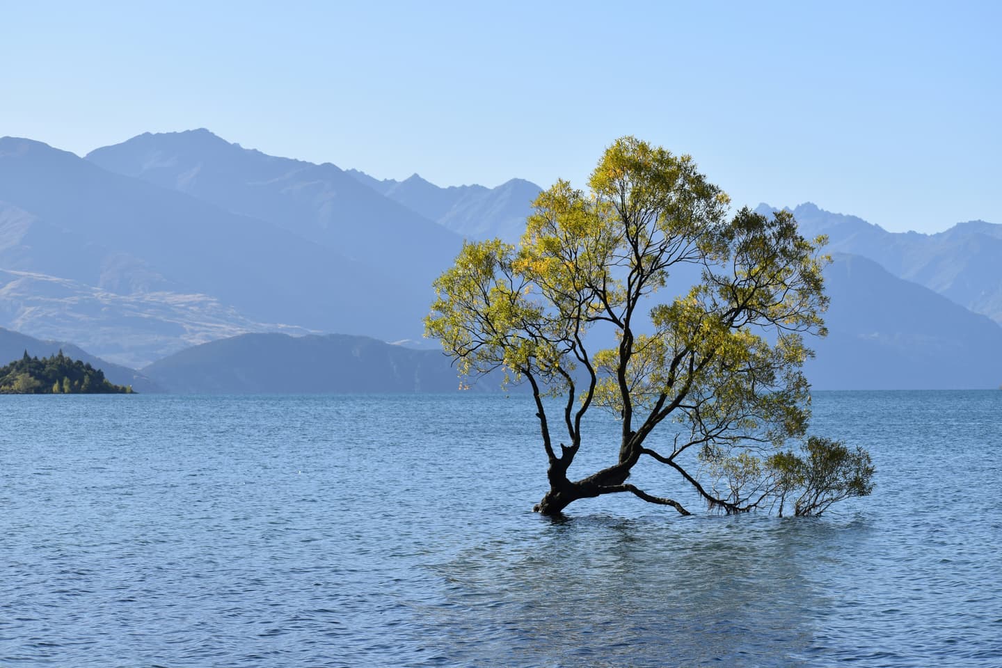 Wanaka, New Zealand