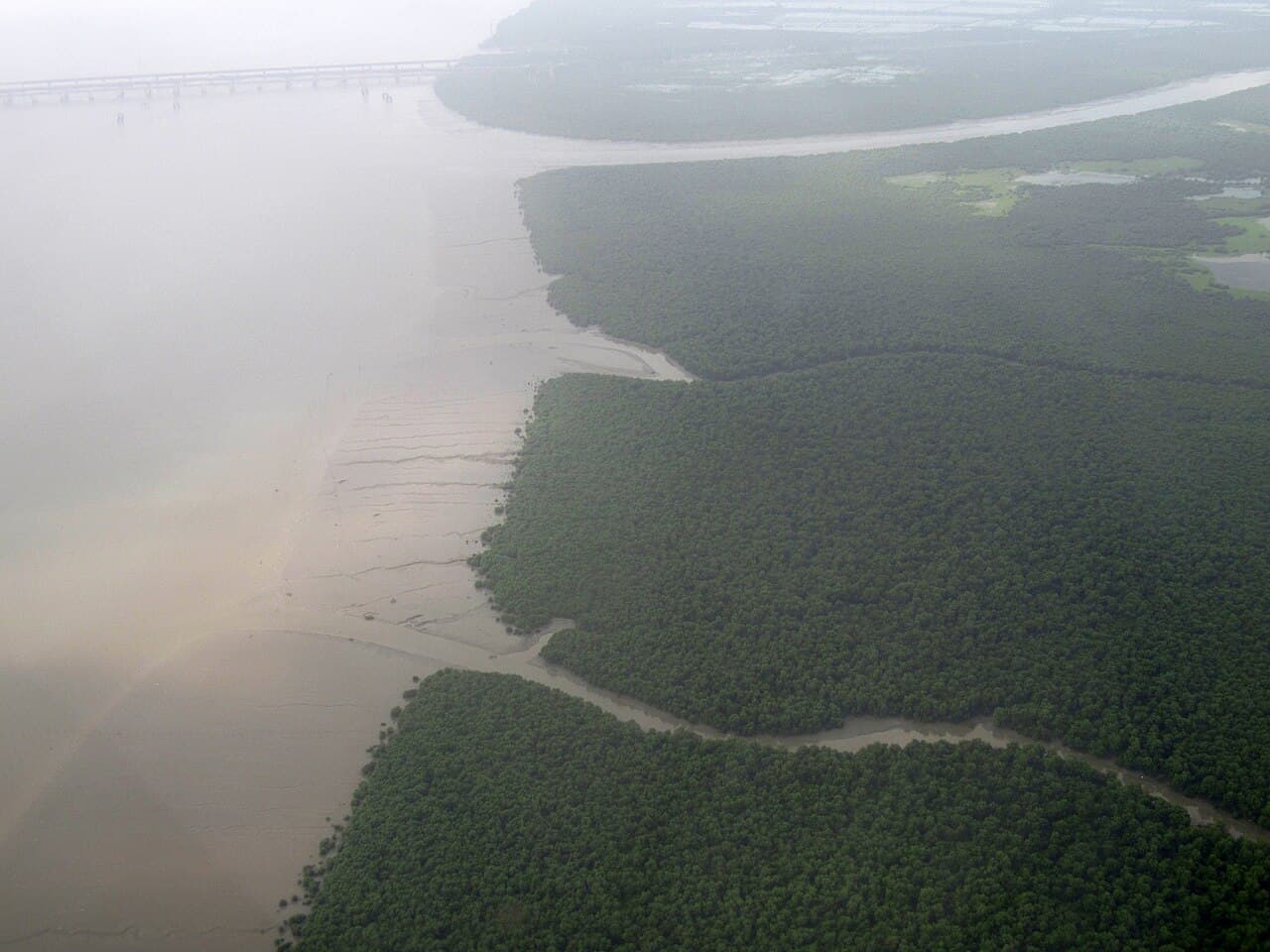 Thane Creek