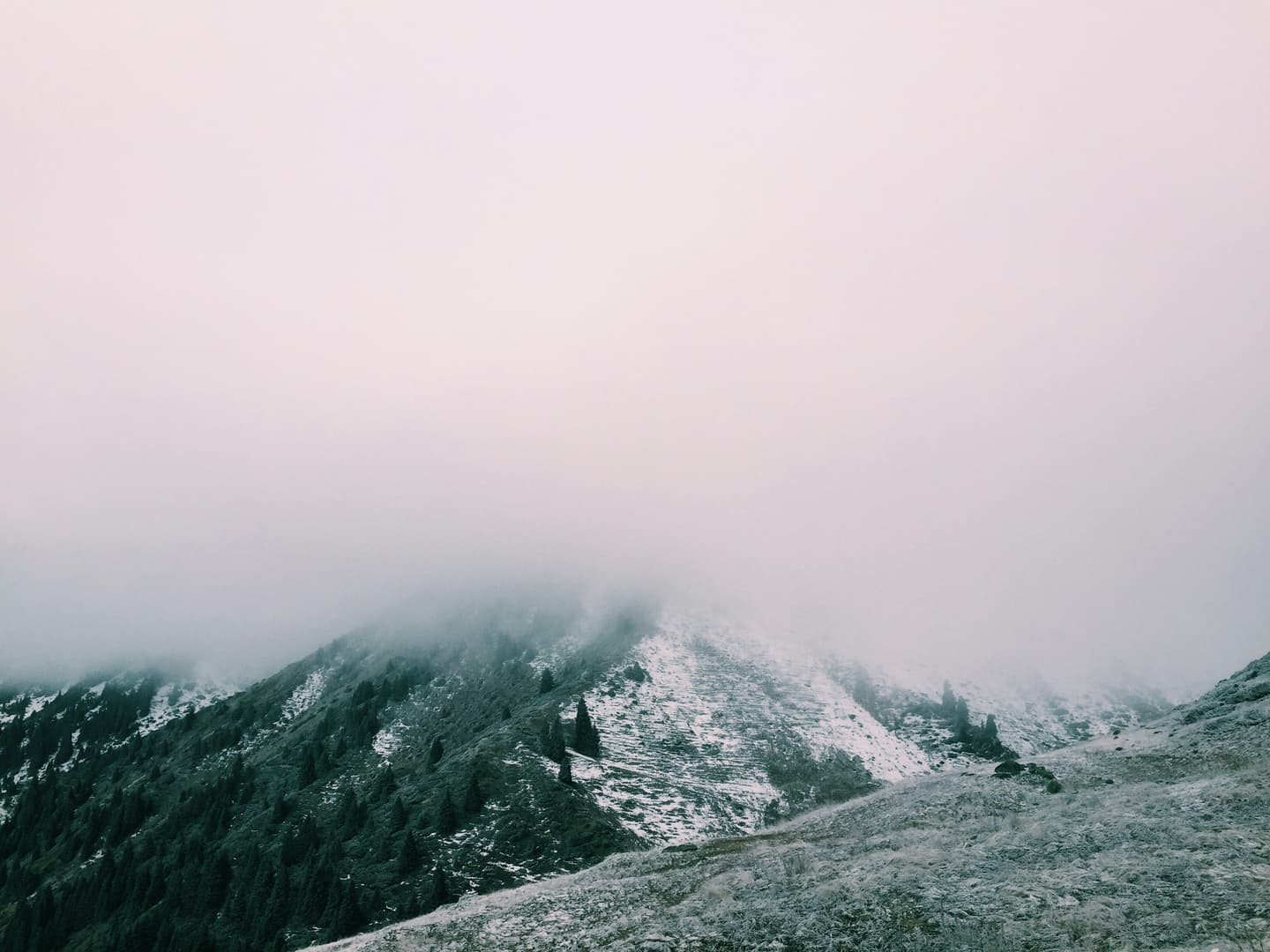 Almaty