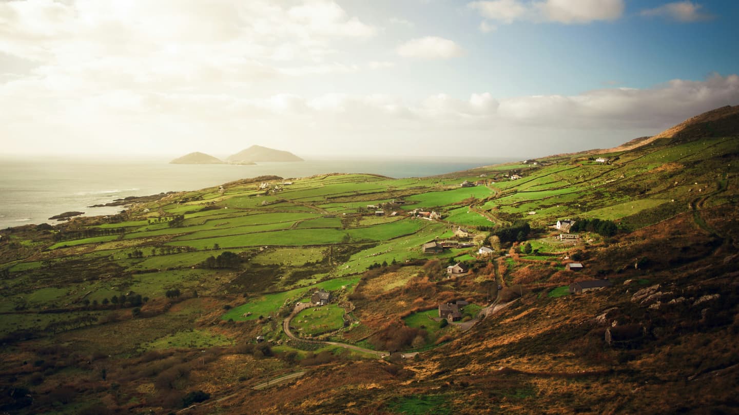 Cork