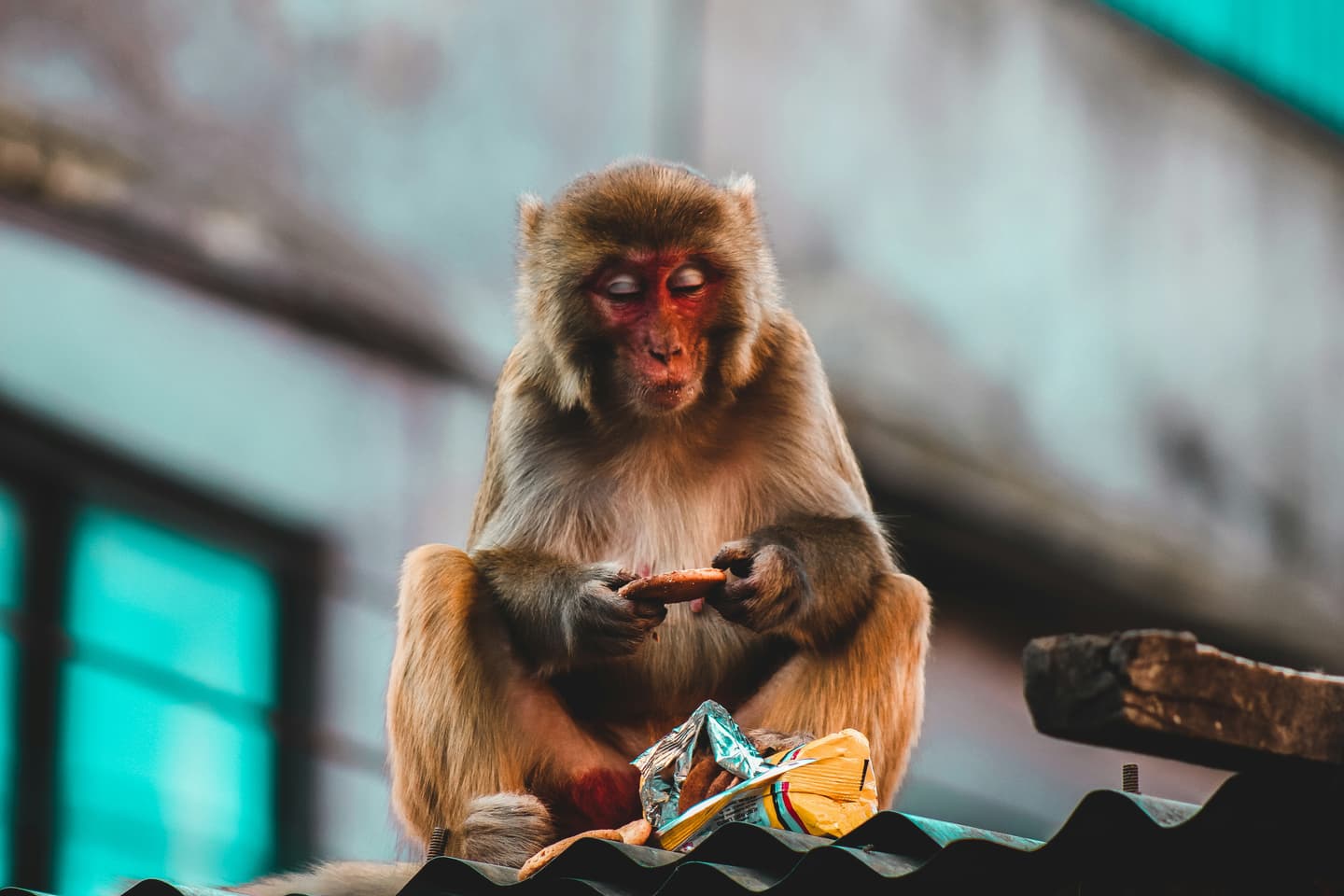 Kathmandu