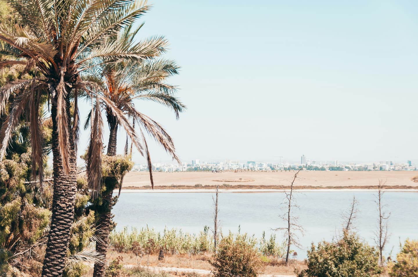 Larnaca