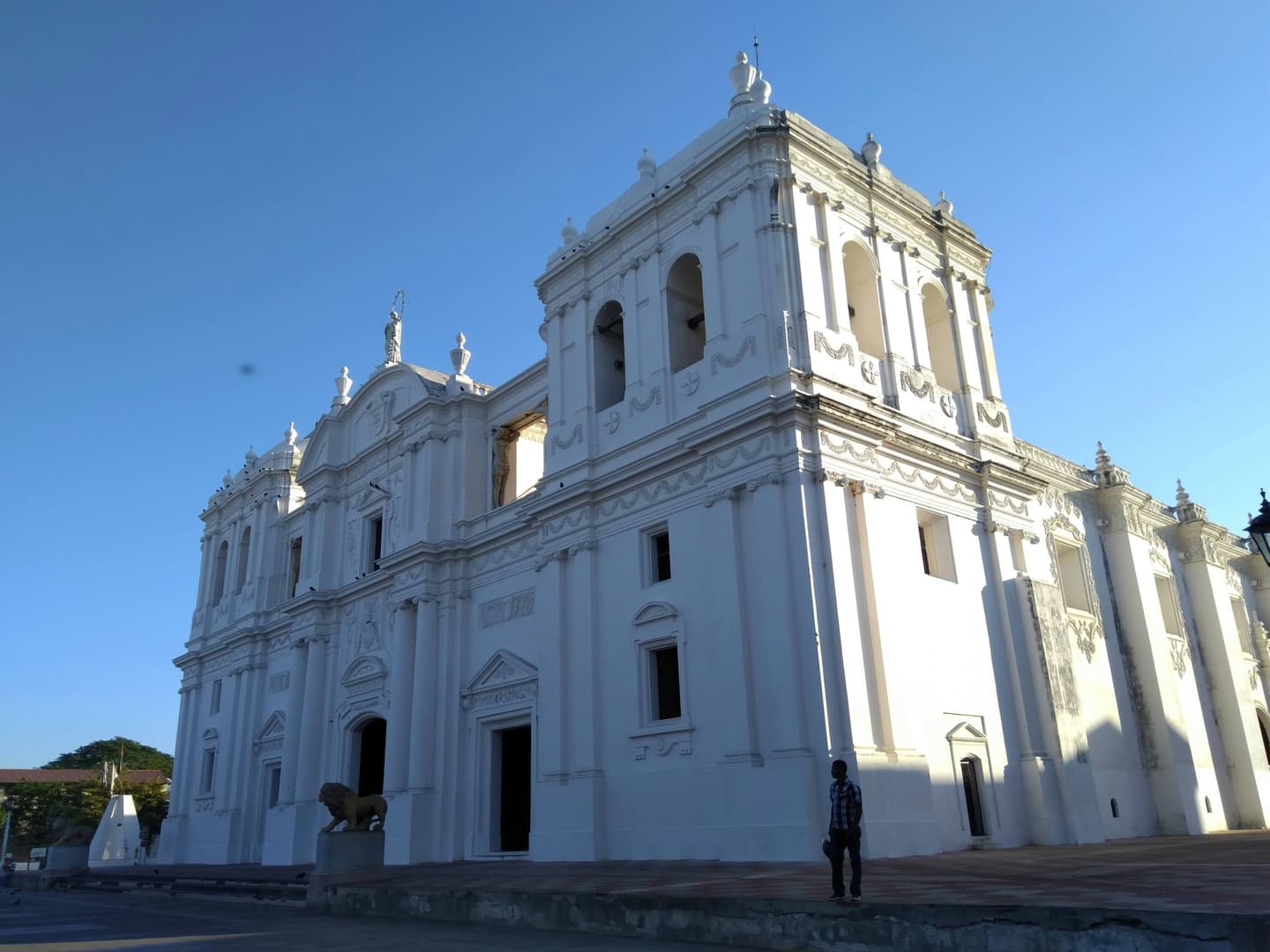 León