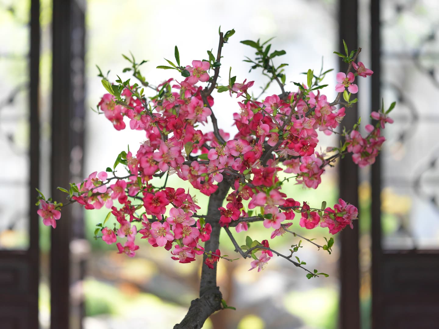 Suzhou