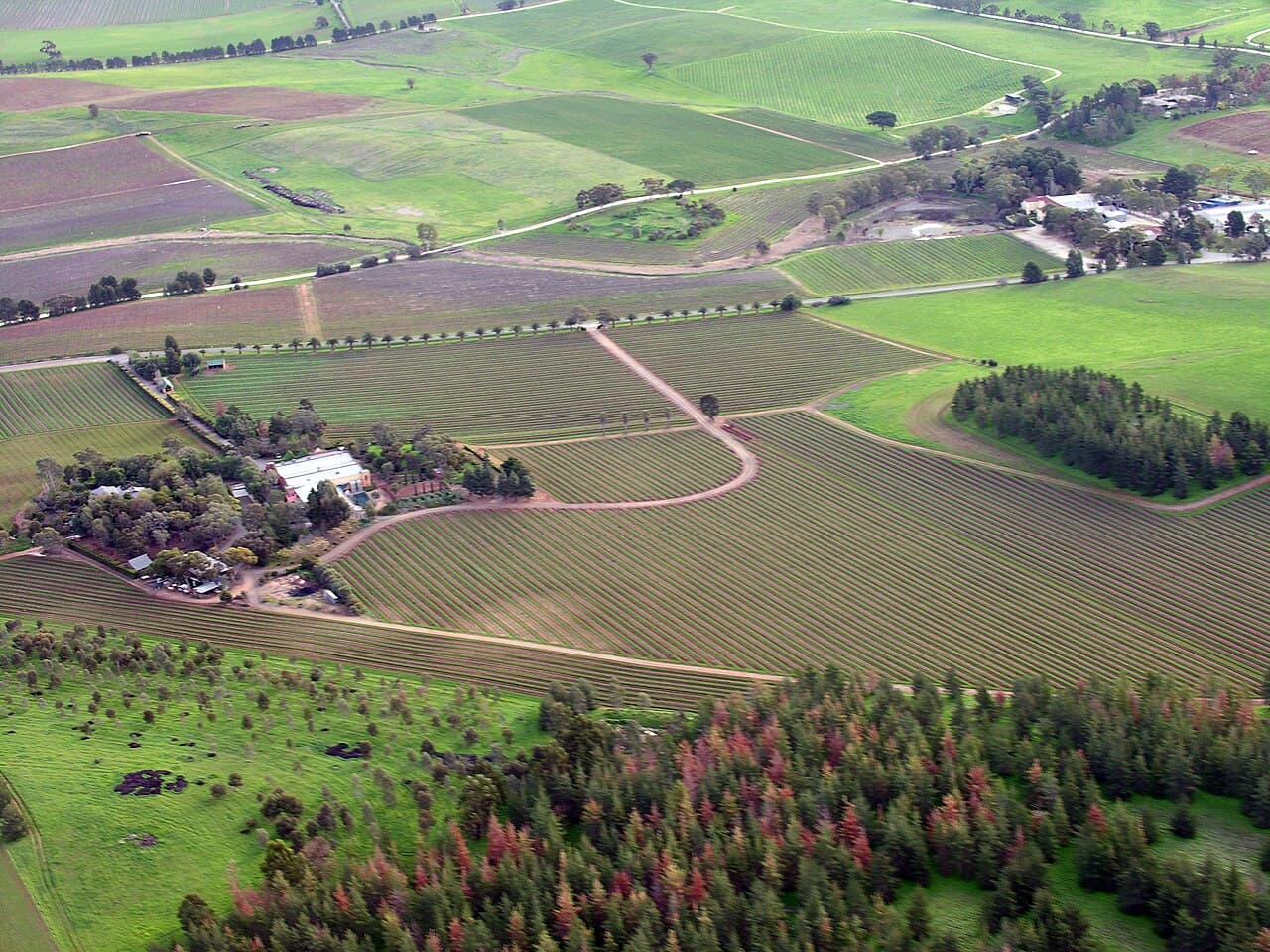 Barossa Valley Wine Region