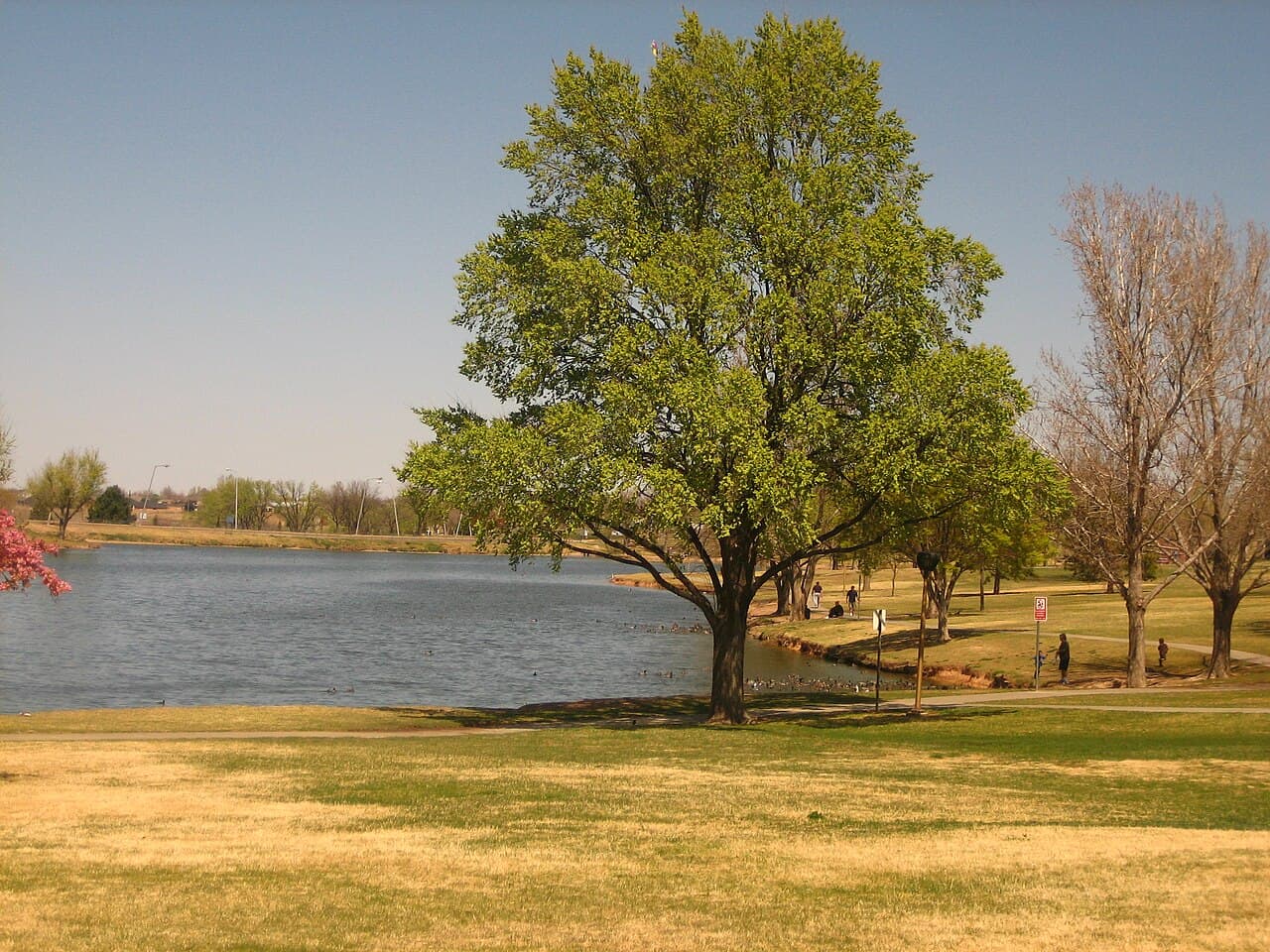 Amarillo Botanical Gardens