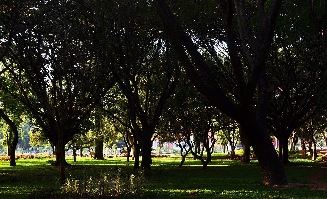 Cubbon Park