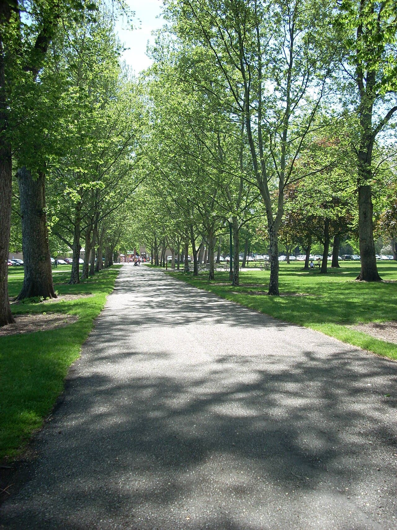 Julia Davis Park