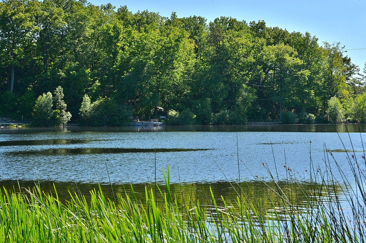Heart Lake Conservation Area