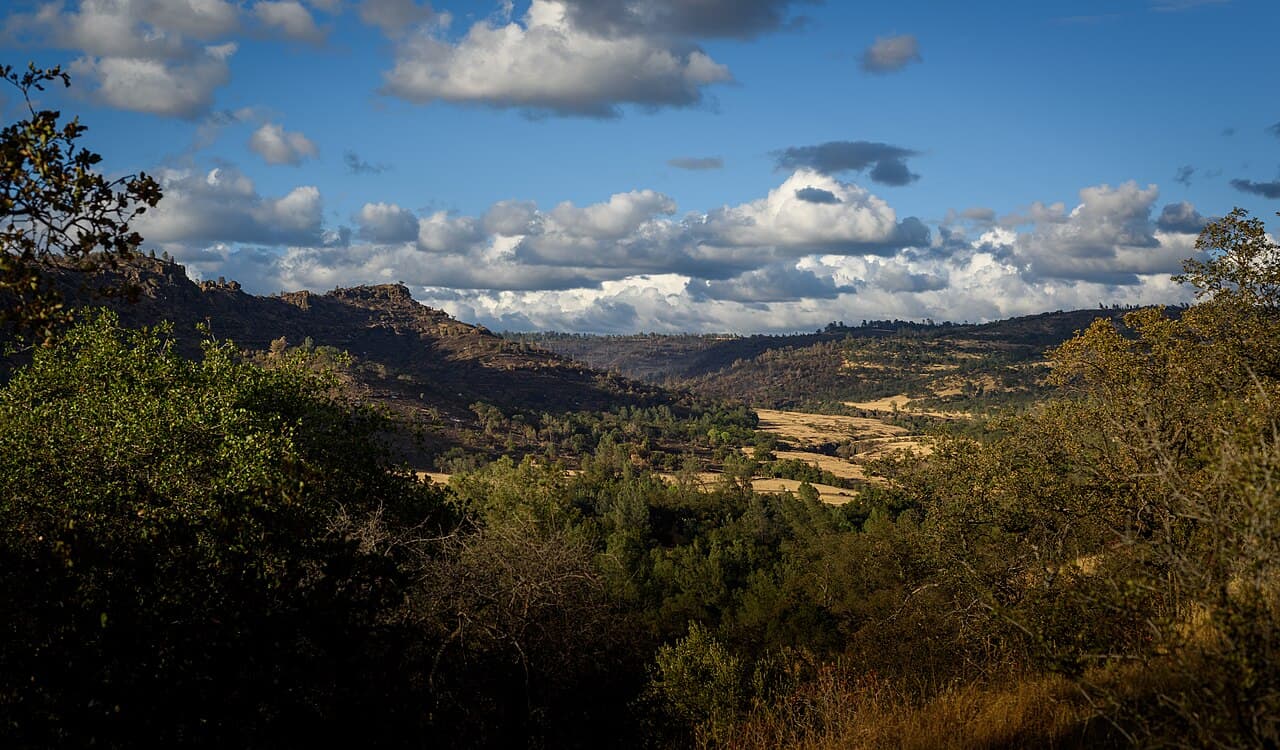 Bidwell Park