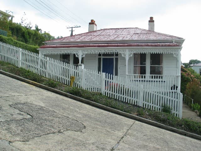 Baldwin Street (World's Steepest Street)