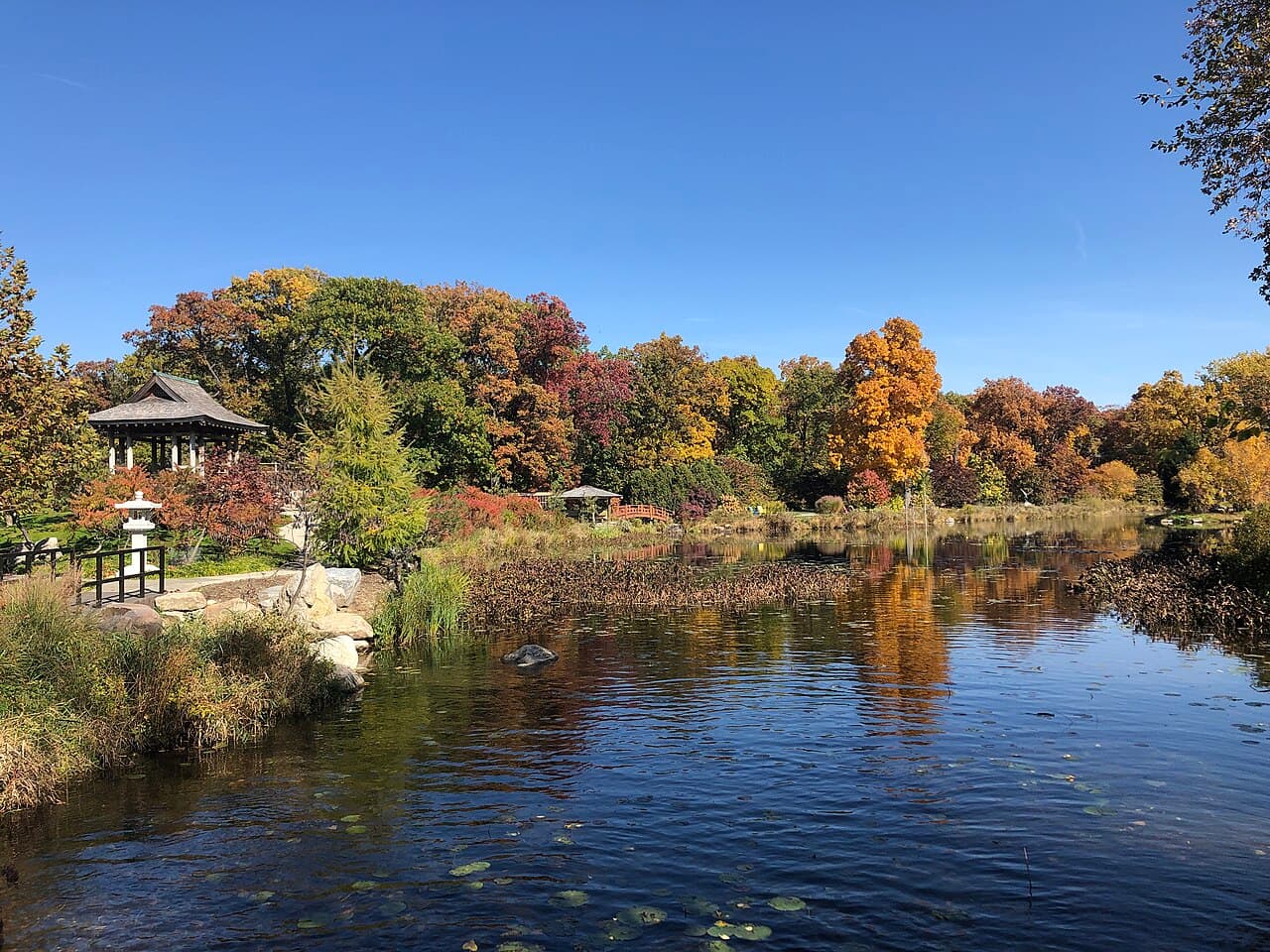 Wellfield Botanic Gardens