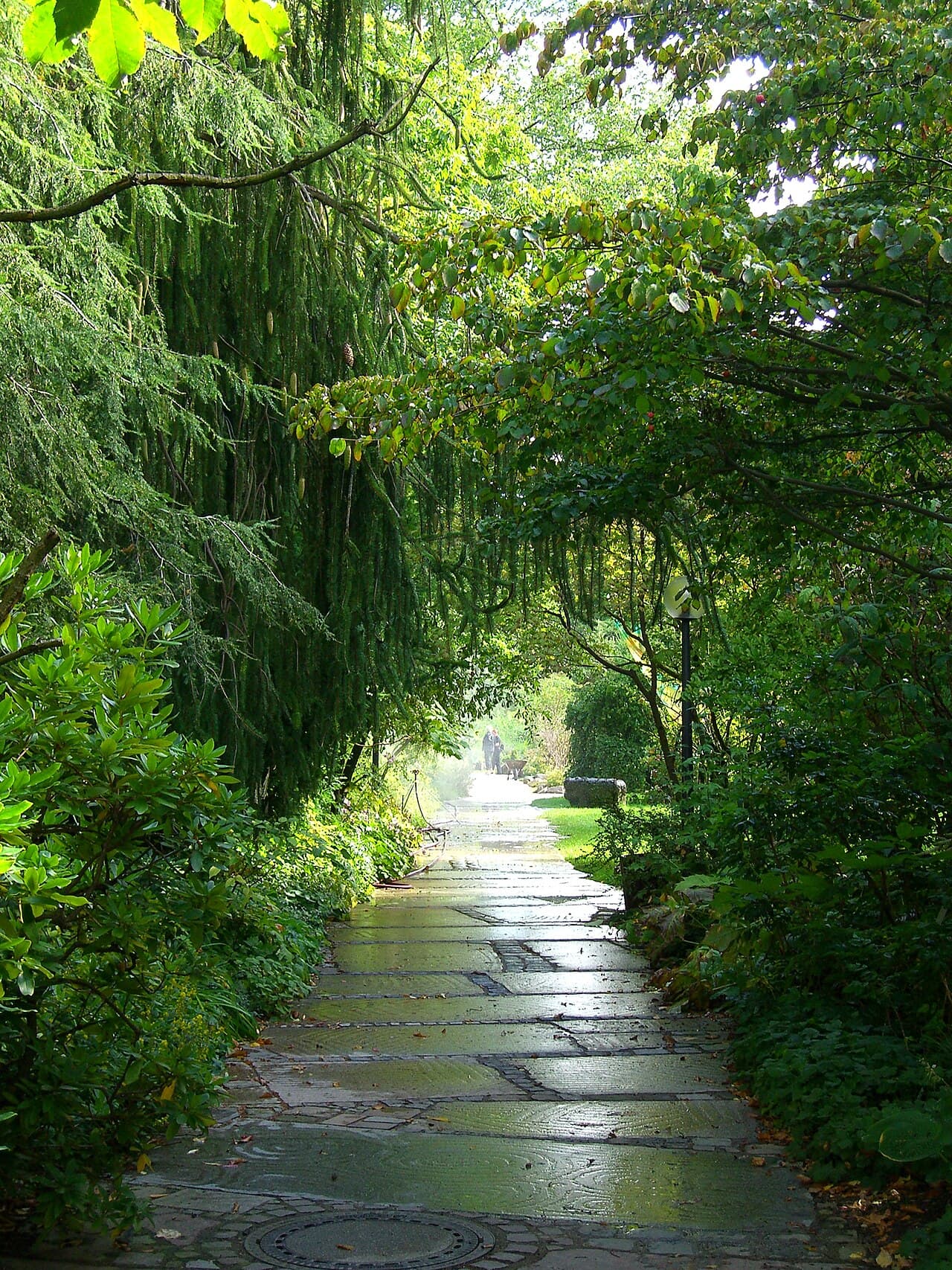 Botanical Garden (Botanischer Garten)