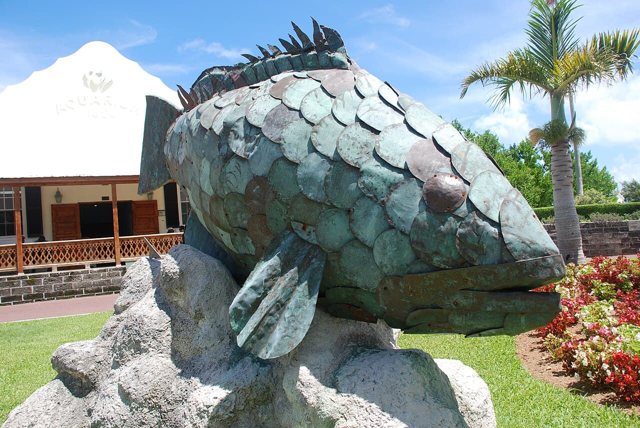 Bermuda Aquarium Museum and Zoo