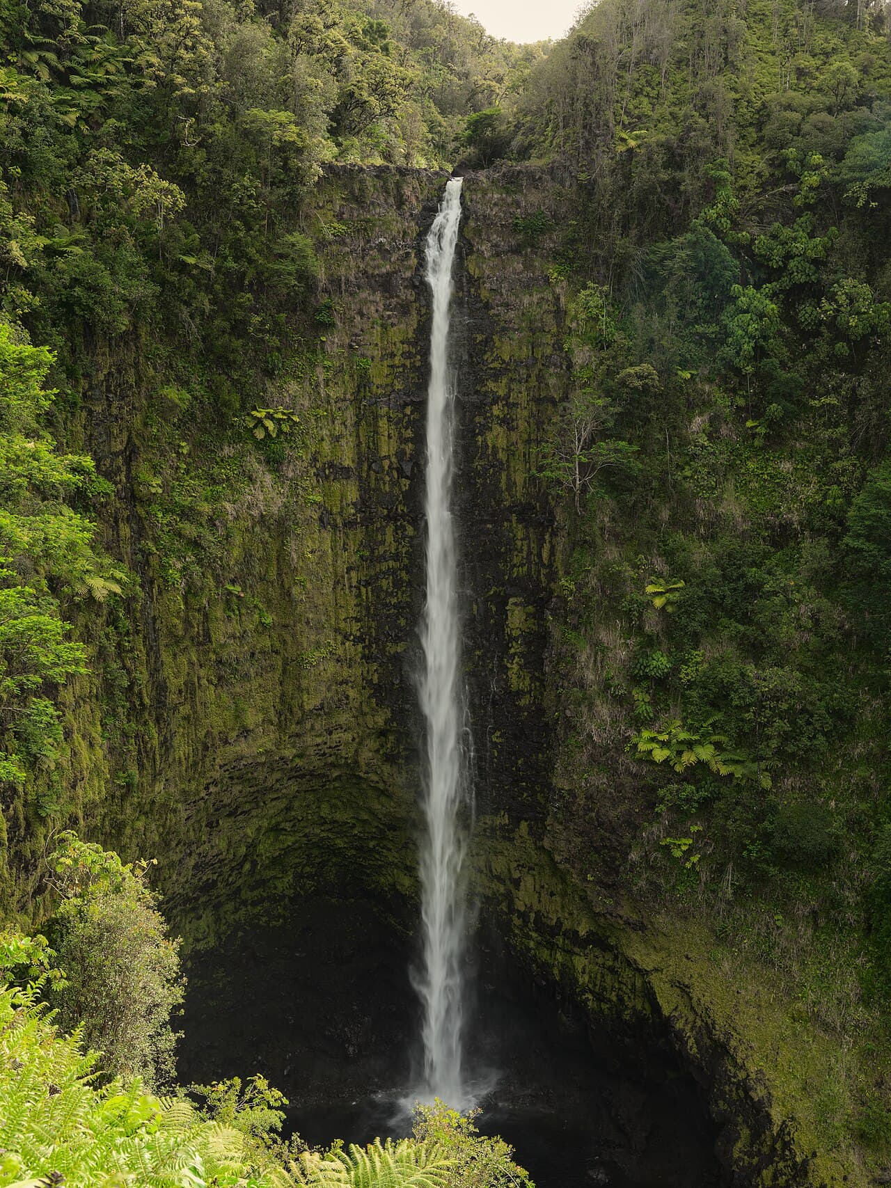 Akaka Falls State Park
