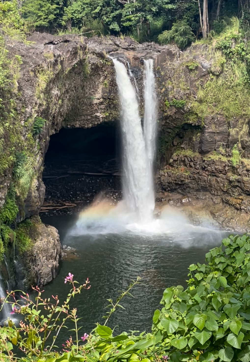 Rainbow Falls (Waiānuenue)