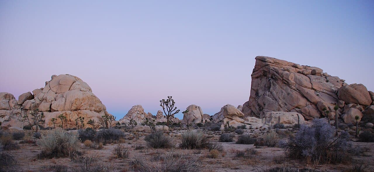 Joshua Tree National Park (nearby)
