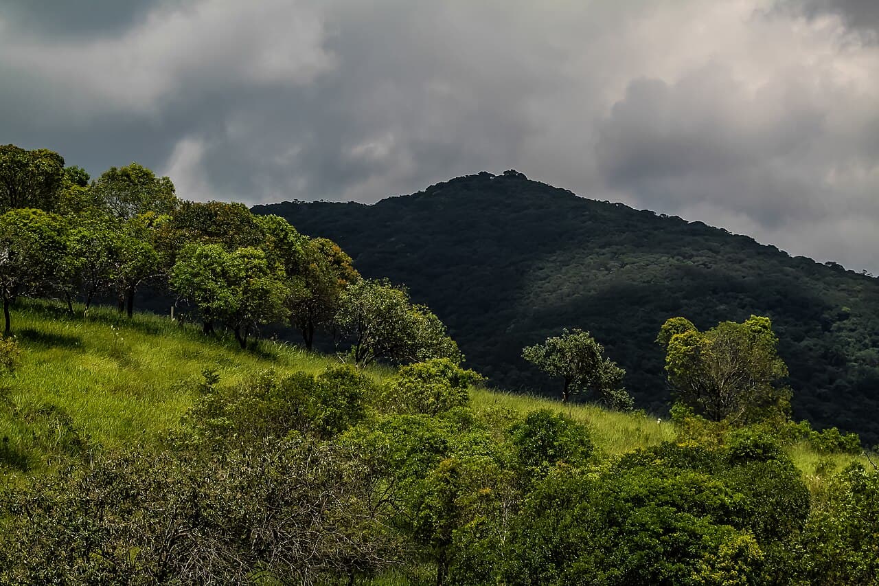 Serra do Japi
