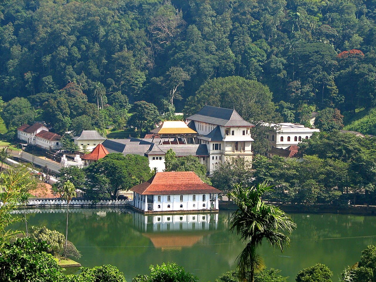 Udawattakele Forest Reserve
